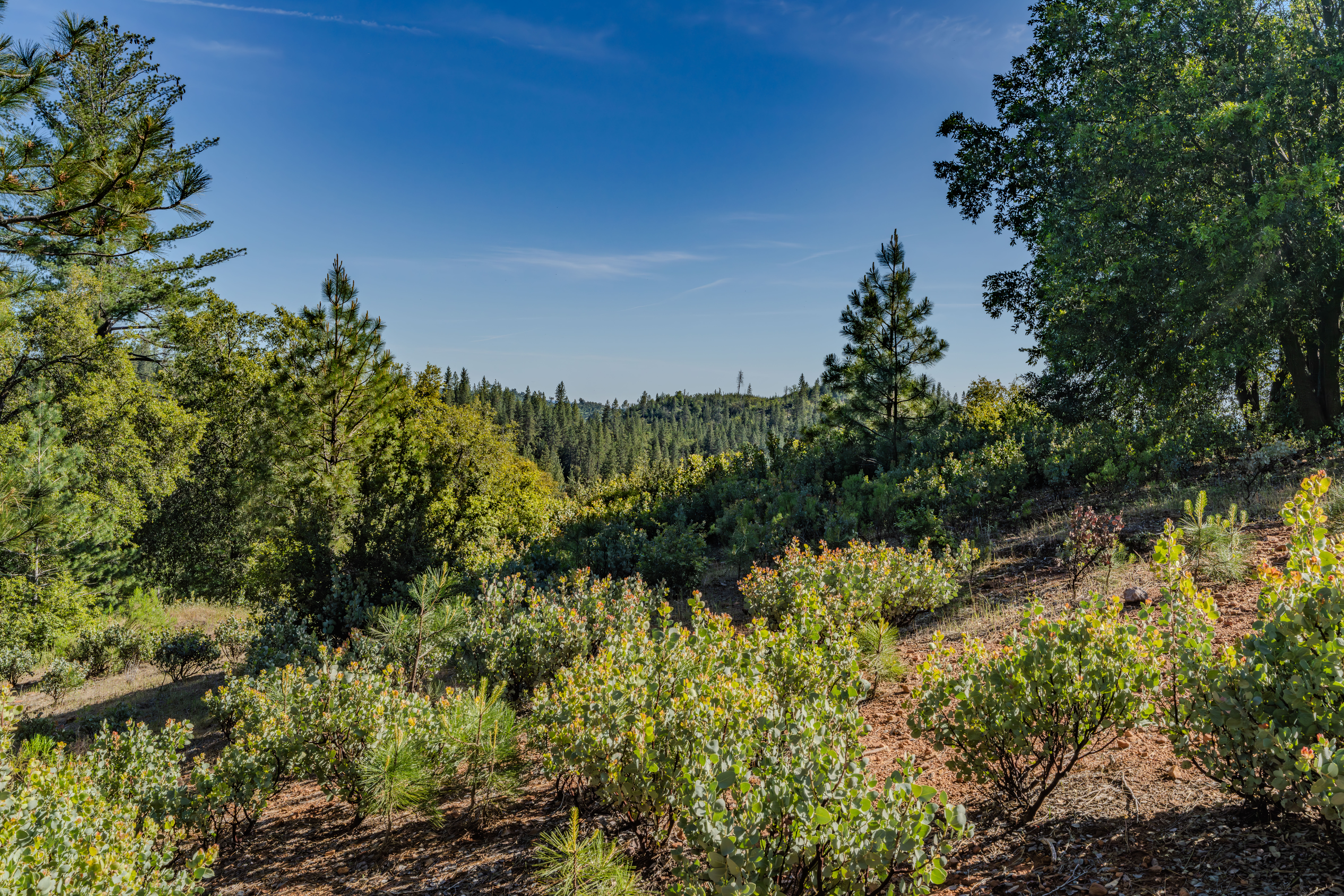  211 Fox Road, Glencoe, CA 95232 - 物件實景