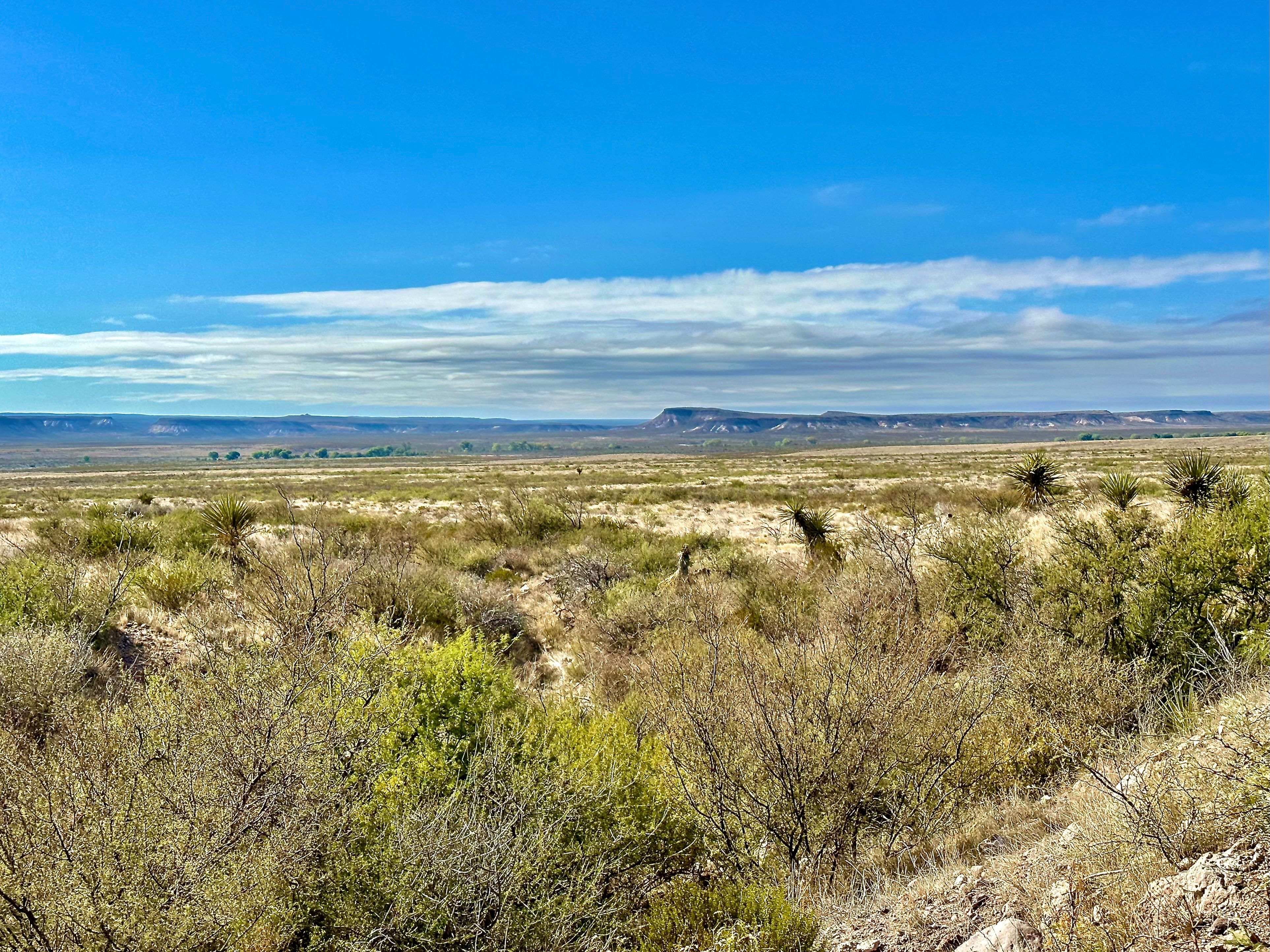  The Alamito Ranch in Presidio County - 物件實景
