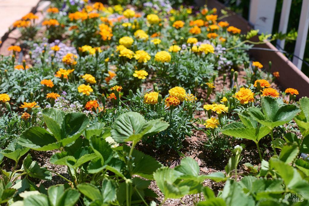 Redwood Valley, California, 95470-8010, United States, 3 Bedrooms Bedrooms, ,2 BathroomsBathrooms,Residential,For Sale,1984443