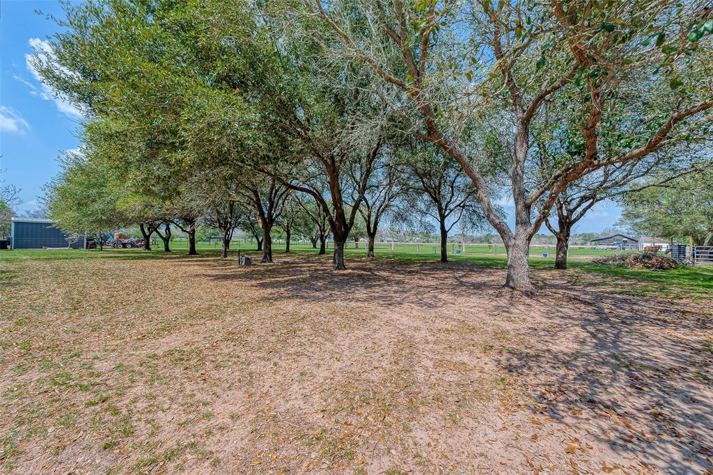 Waller, Texas, 77484, United States, 3 Bedrooms Bedrooms, ,3 BathroomsBathrooms,Residential,For Sale,1905585