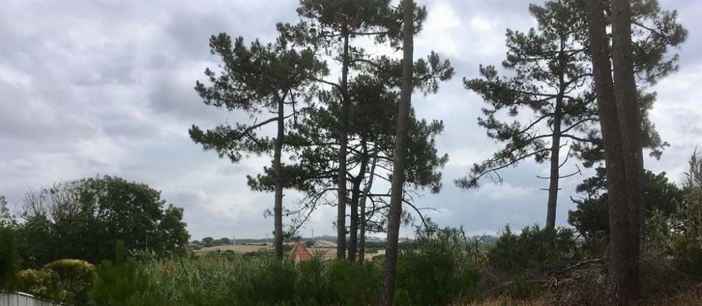 Sintra, Lisbon, 2705-645, PT, ,Land,For Sale,1698762