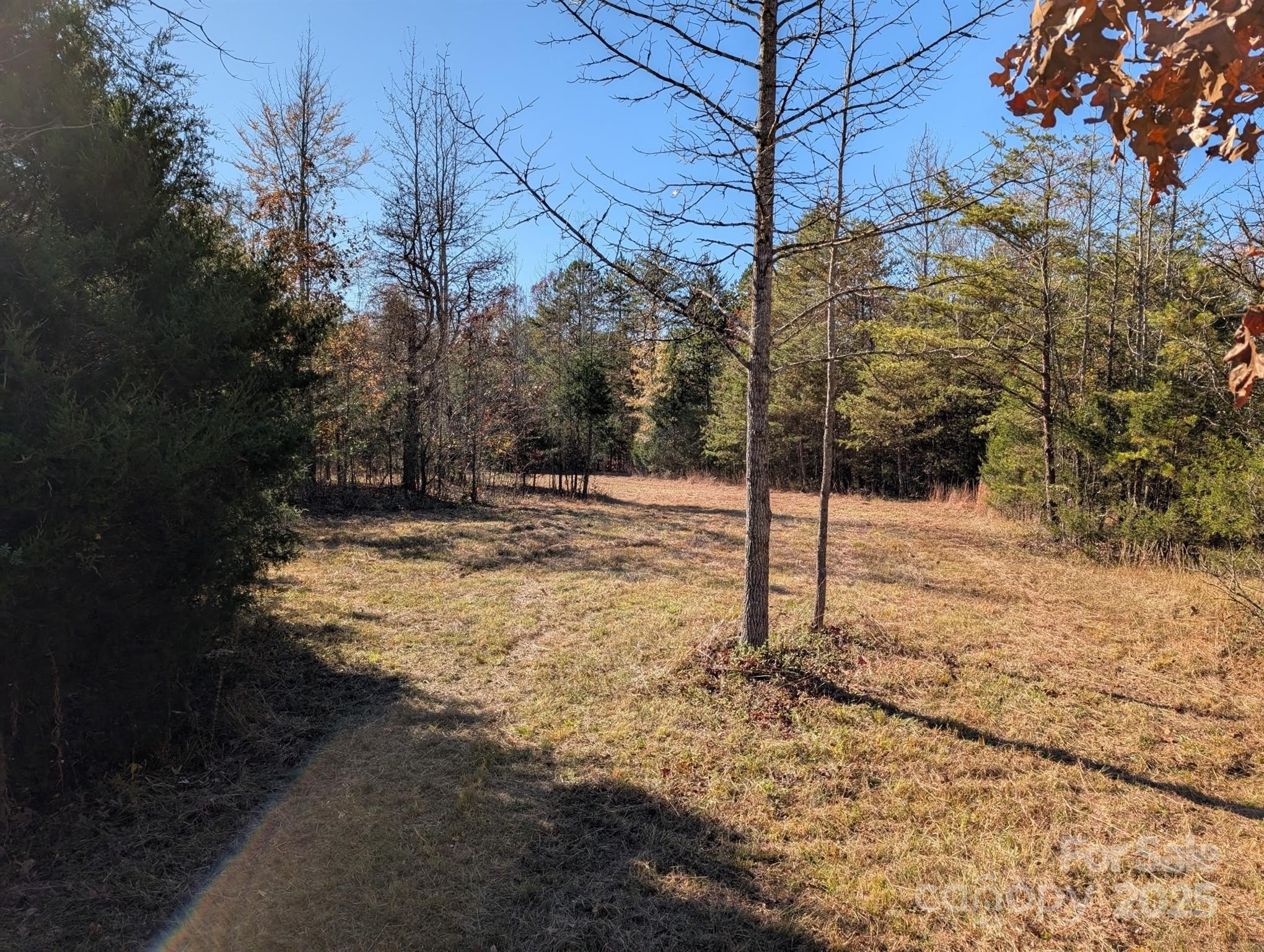 Salisbury, North Carolina, 28147, United States, ,Land,For Sale,1996519