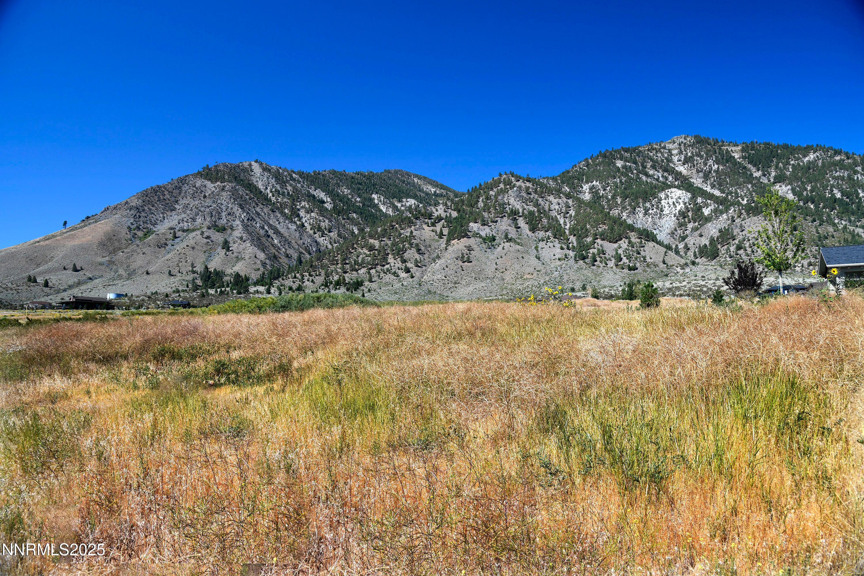 Genoa, Nevada, 89411, United States, ,Residential,For Sale,1939725