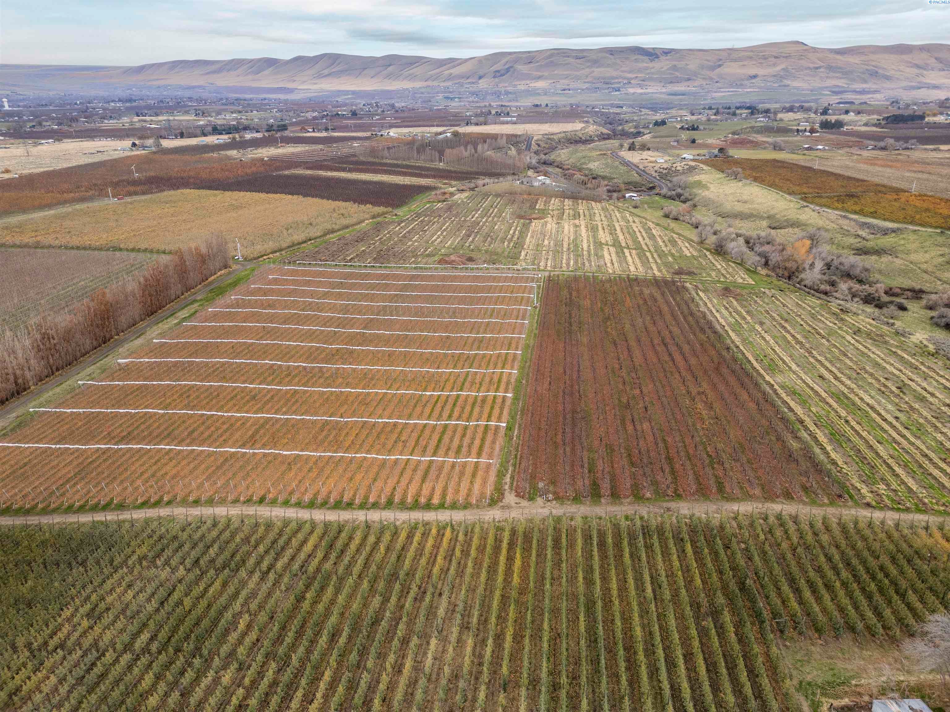 Benton City, Washington, 99320, United States, 3 Bedrooms Bedrooms, ,3 BathroomsBathrooms,Residential,For Sale,1998029