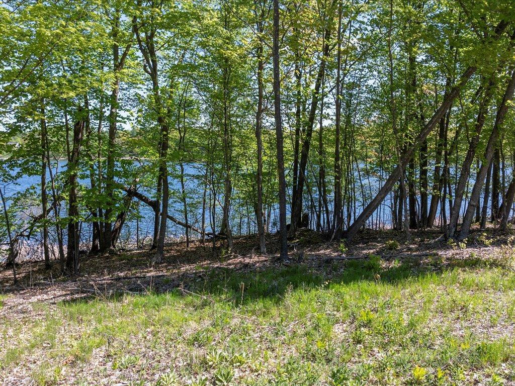 Cohasset, Minnesota, 55721, United States, ,Land,For Sale,1850344