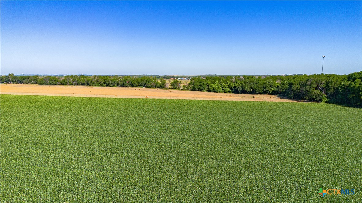 Mcqueeney, Texas, 78123, United States, ,Land,For Sale,2049339