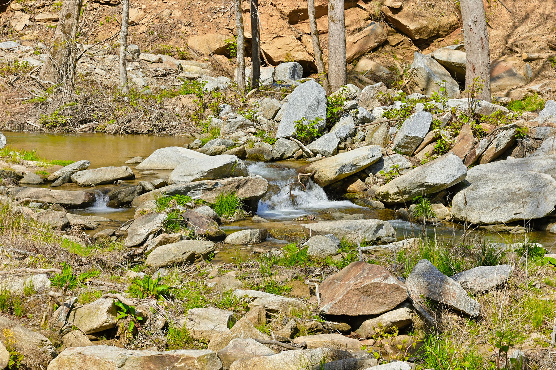  HENDERSONVILLE - 物件實景