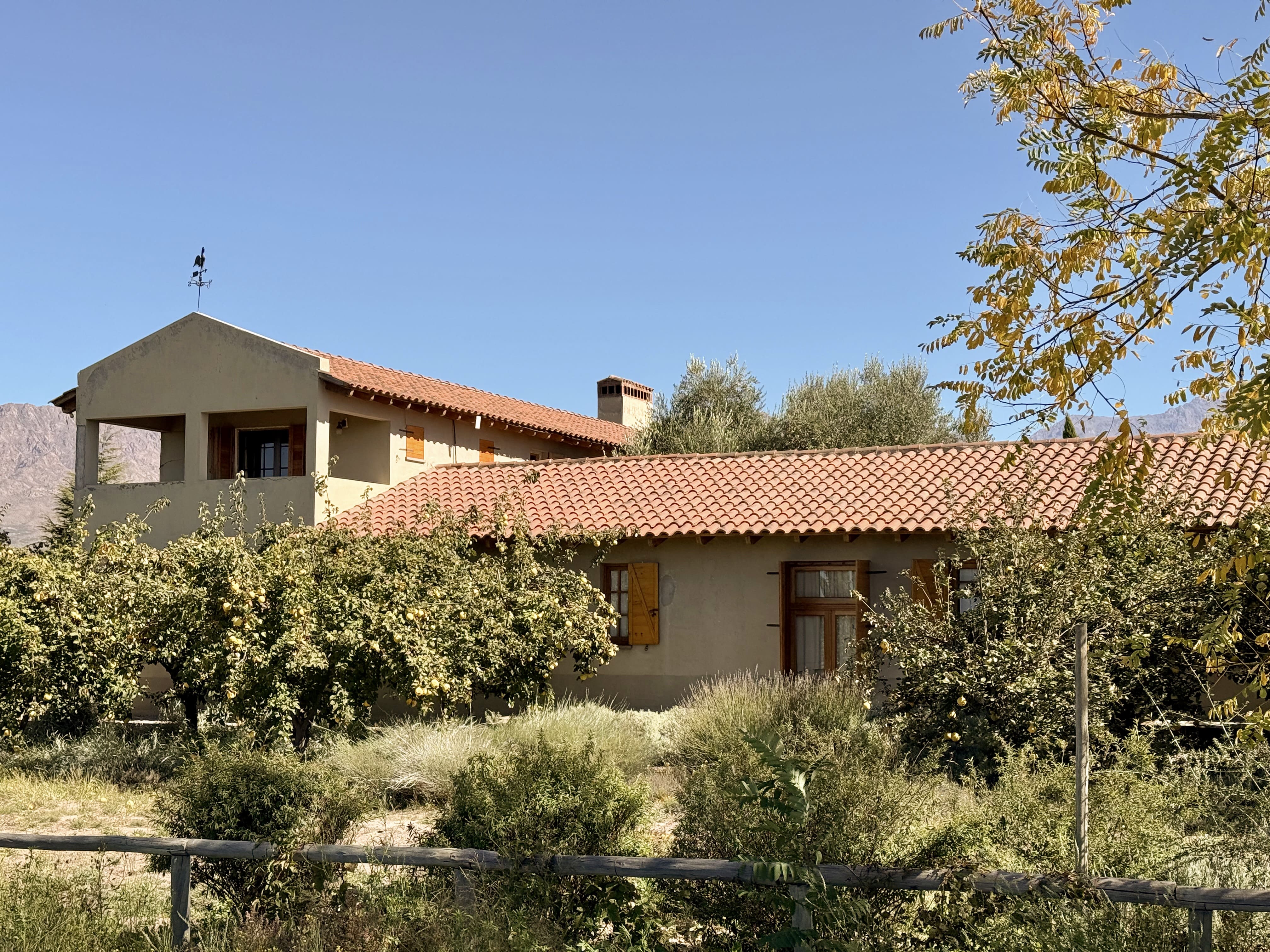 Property photo 3