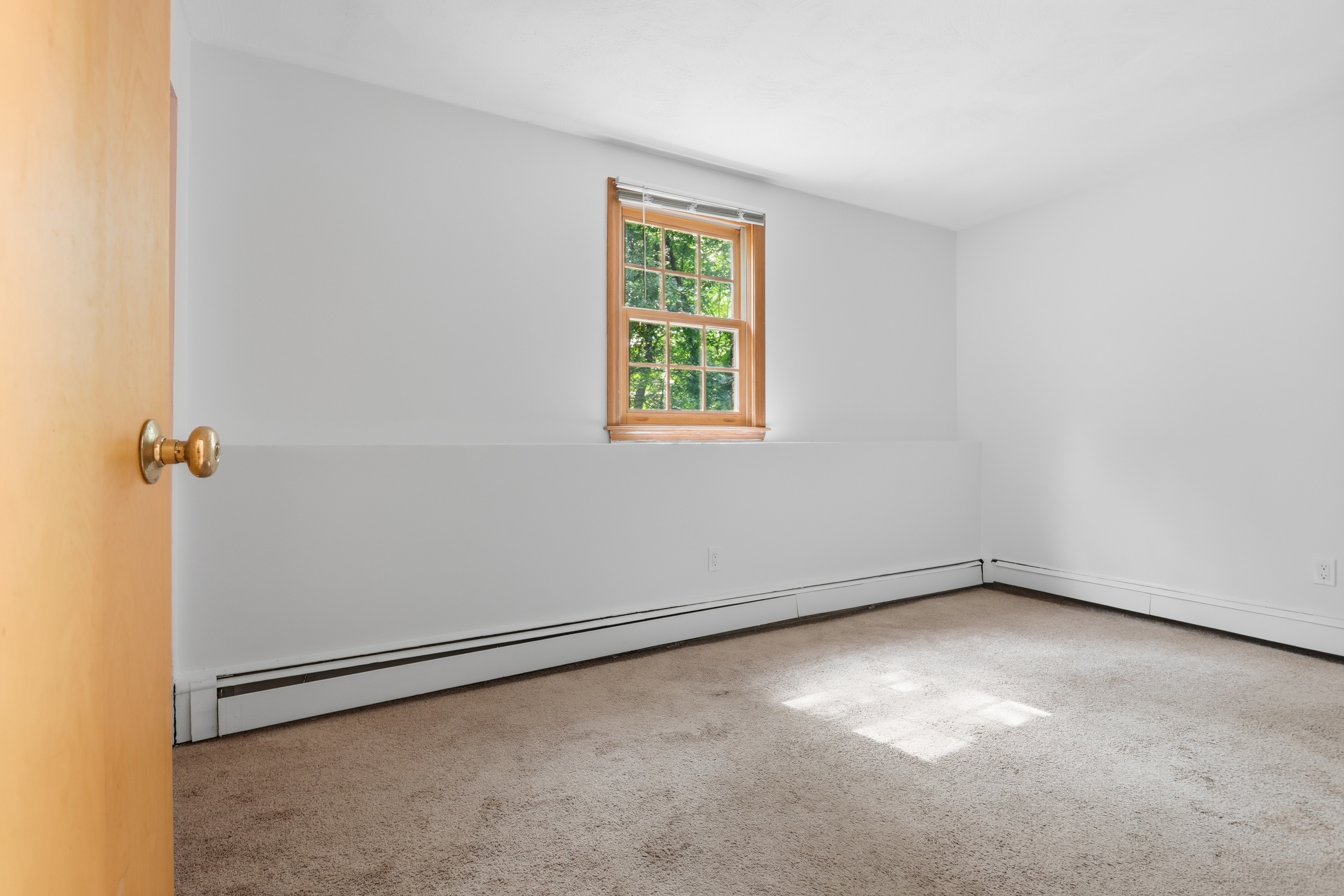  48 Great Road, Acton, MA 01720 - 物件實景