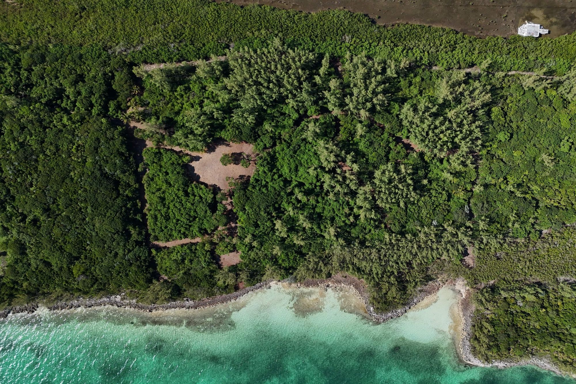  East Russell Island Acreage - 物件實景