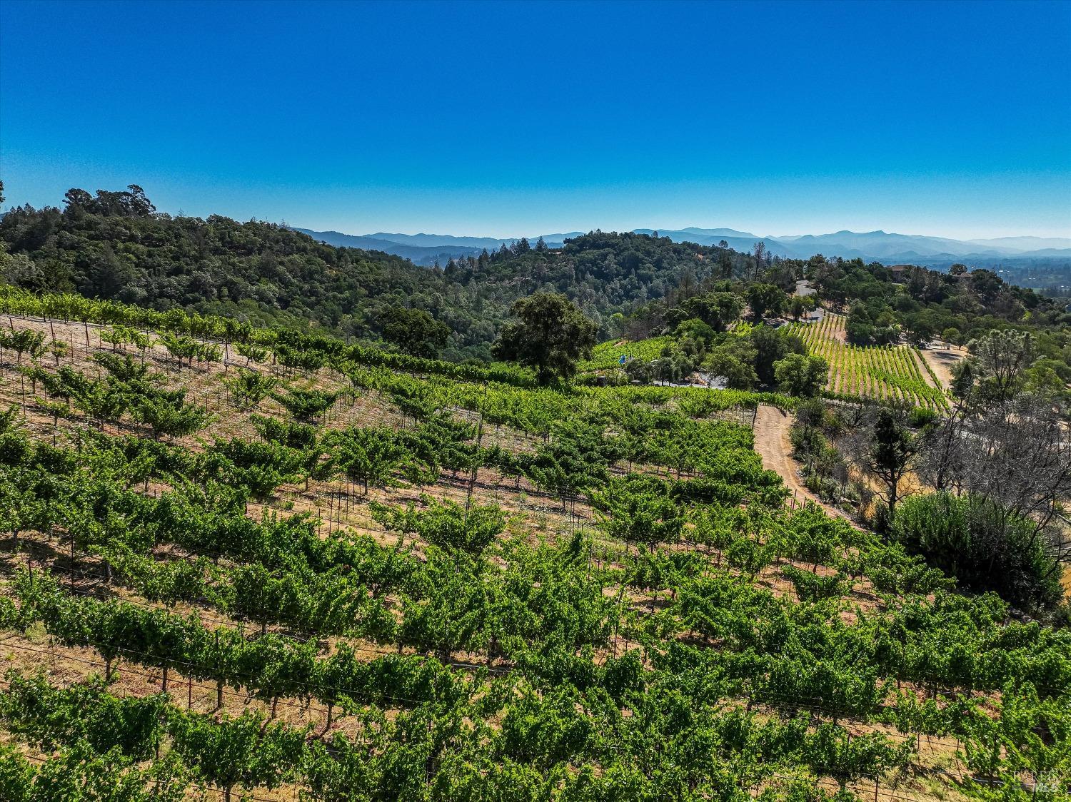 St. Helena, California, 94574, United States, 5 Bedrooms Bedrooms, ,6 BathroomsBathrooms,Residential,For Sale,1708621