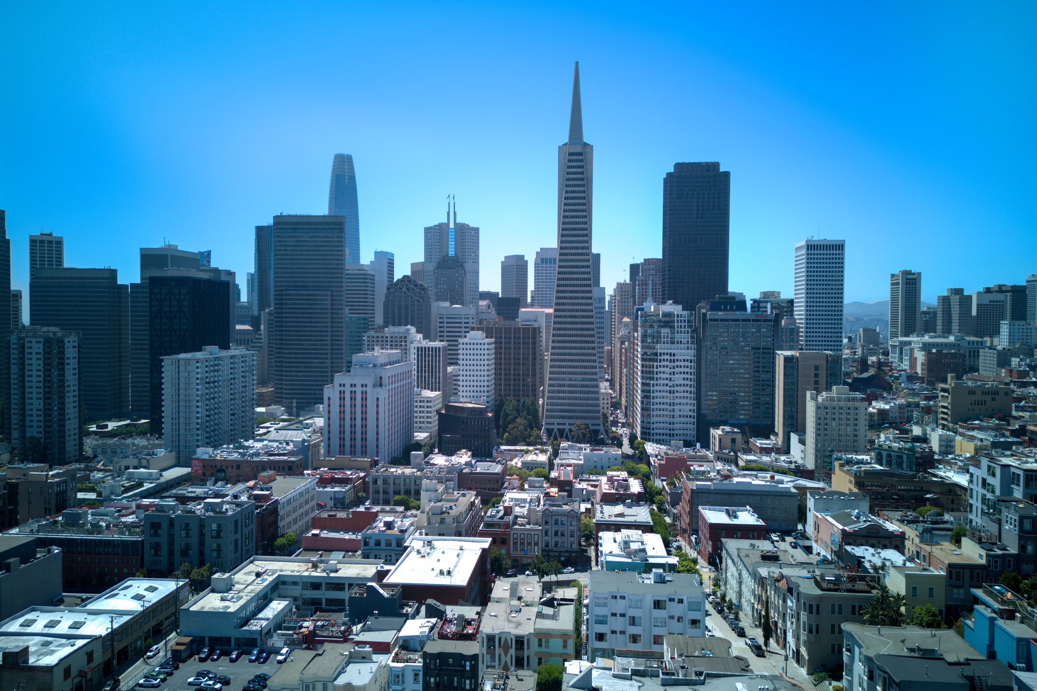  Telegraph Hill Trophy - 物件實景