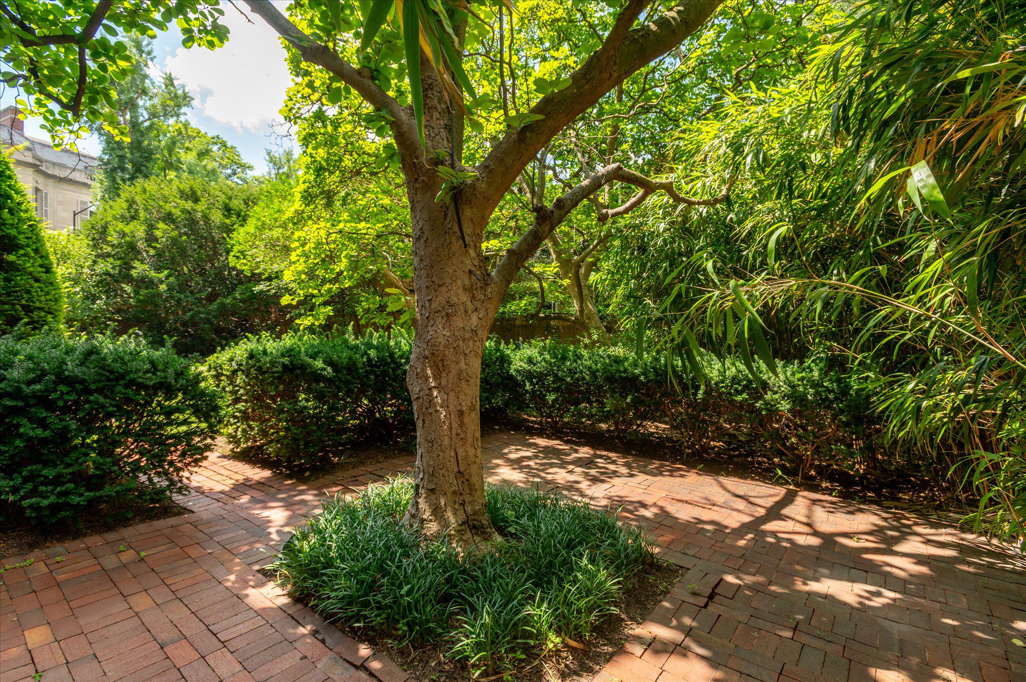  1661 Crescent Place NW, Washington, DC, 20009 - 物件實景