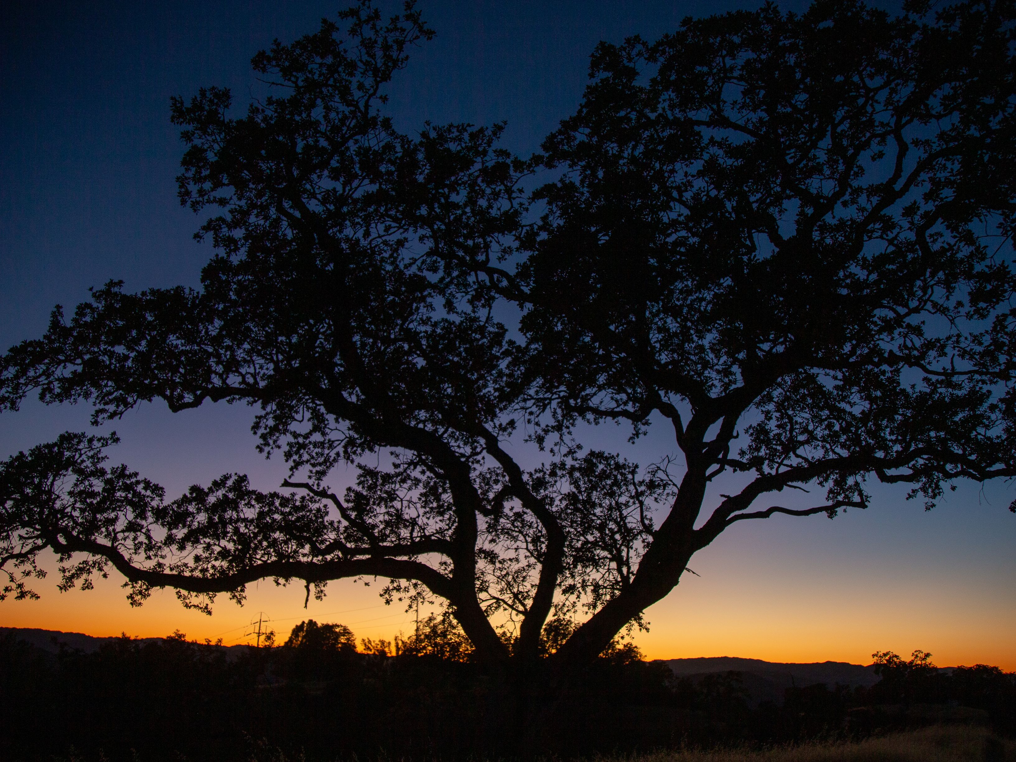  Very Rare Opportunity Alexander Valley Ranch - 物件實景