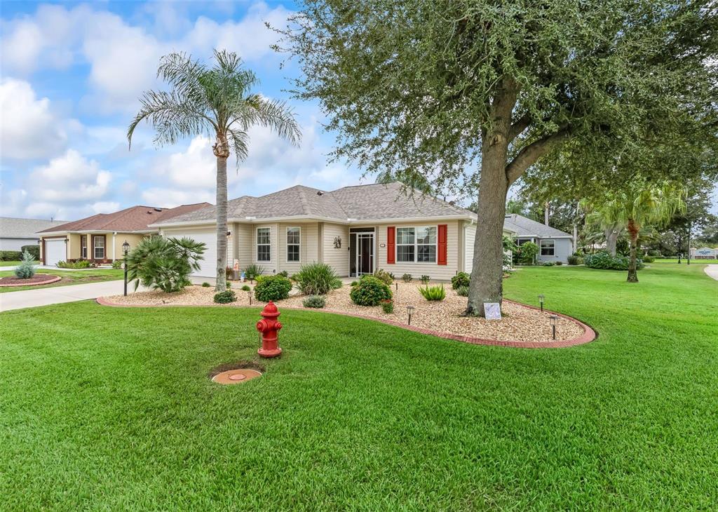 Kaylee Dr, The Villages, FL 32162 #1