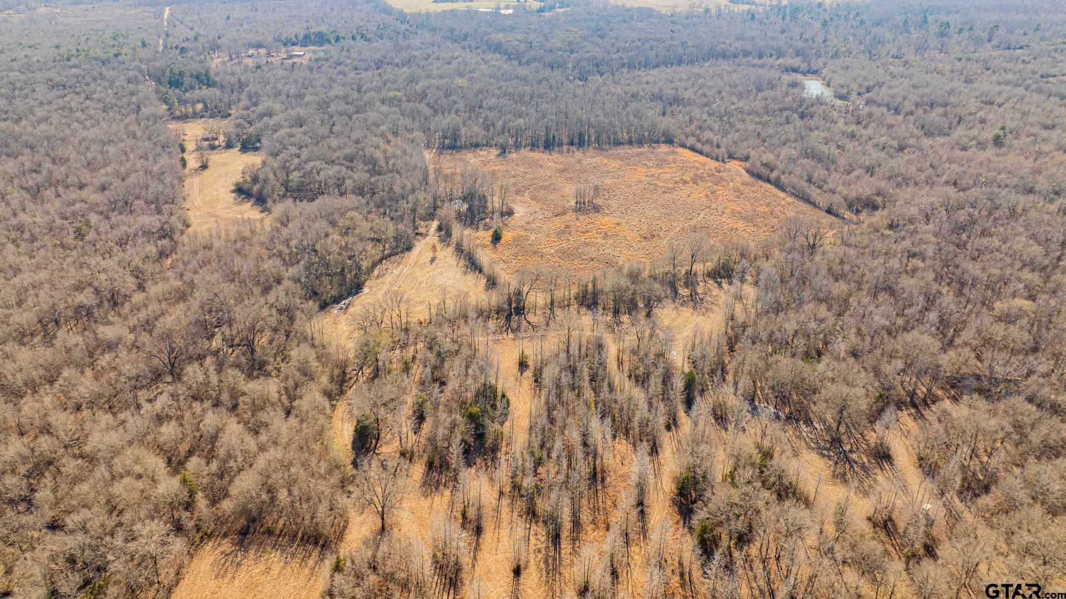 Dekalb, Texas, 75559, United States, ,Land,For Sale,1983481