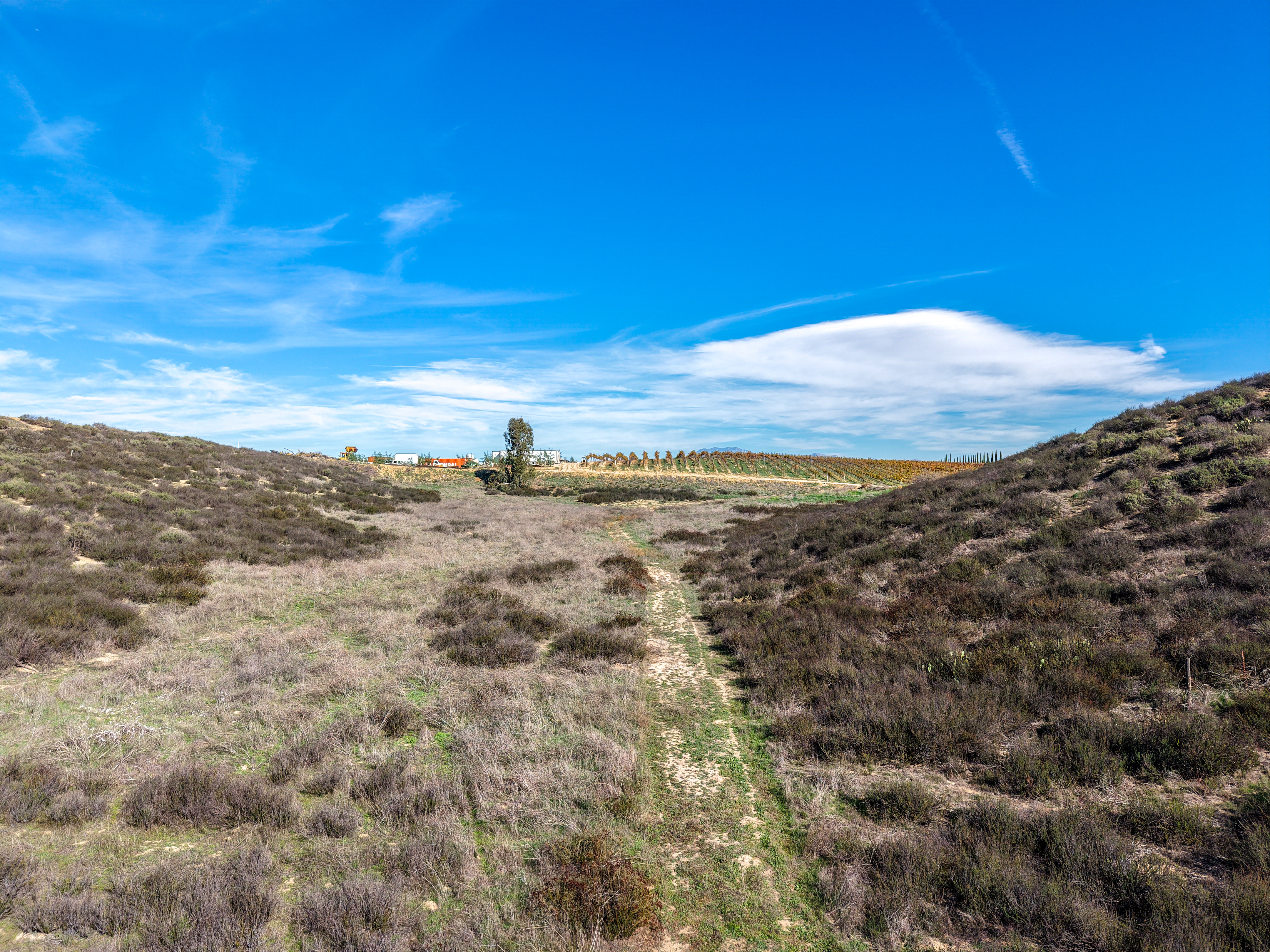  0 Reid Court, Temecula, CA 92591 - 物件實景