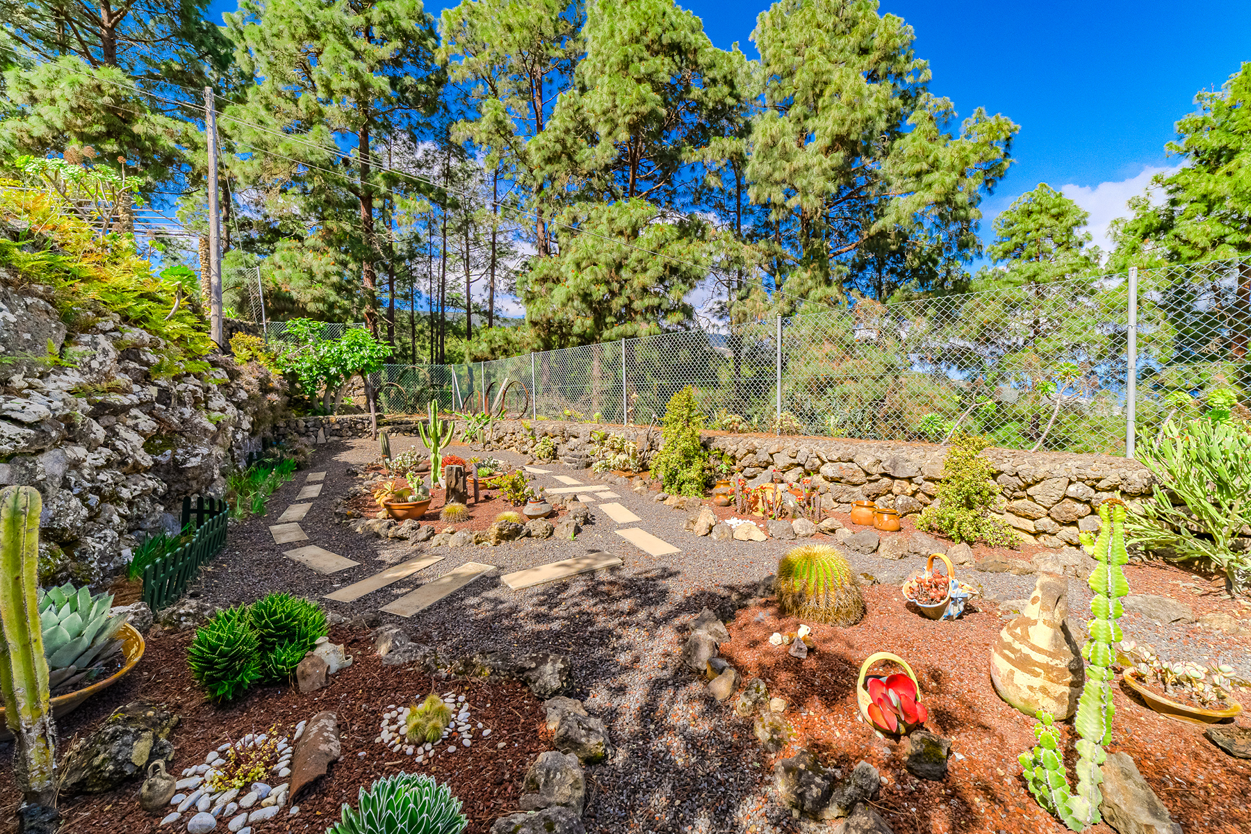  Rustic farmhouse in Icod de los Vinos, Tenerife - 物件實景