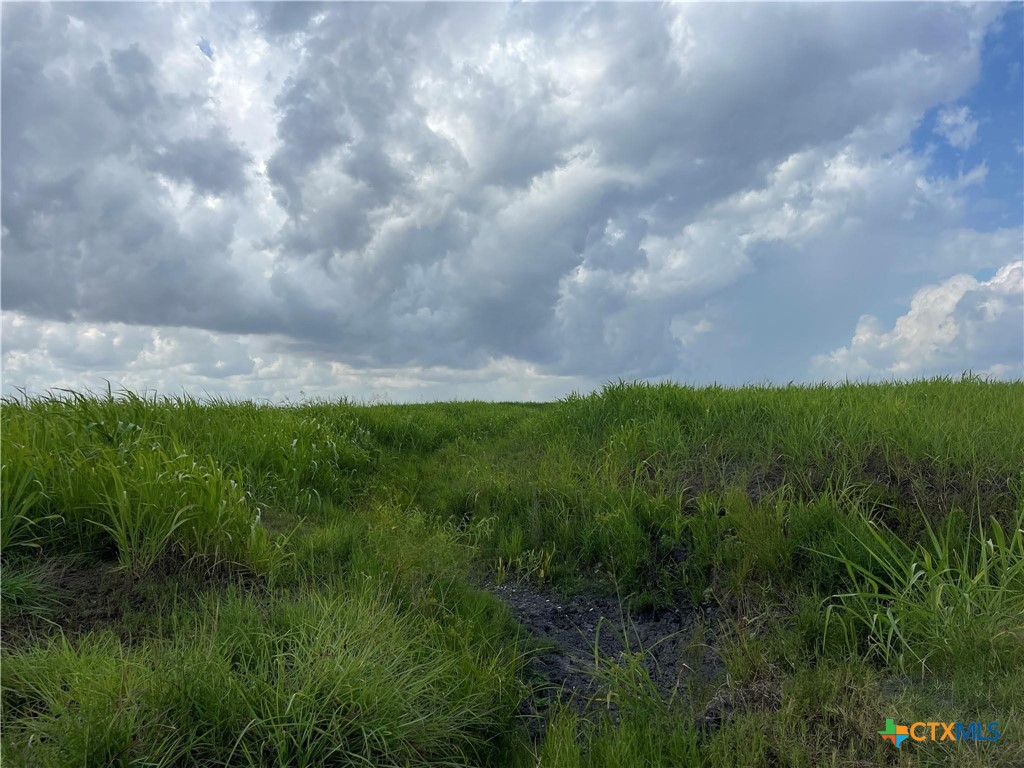 0 Hwy 87, Port Lavaca, Texas, 77979, United States, ,Residential,For Sale,0 Hwy 87,1679378
