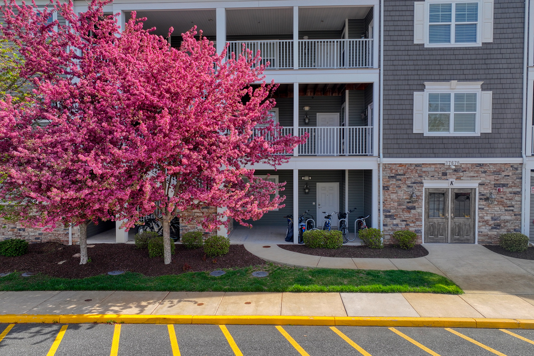  37670 Exeter Drive , 2 - 物件實景