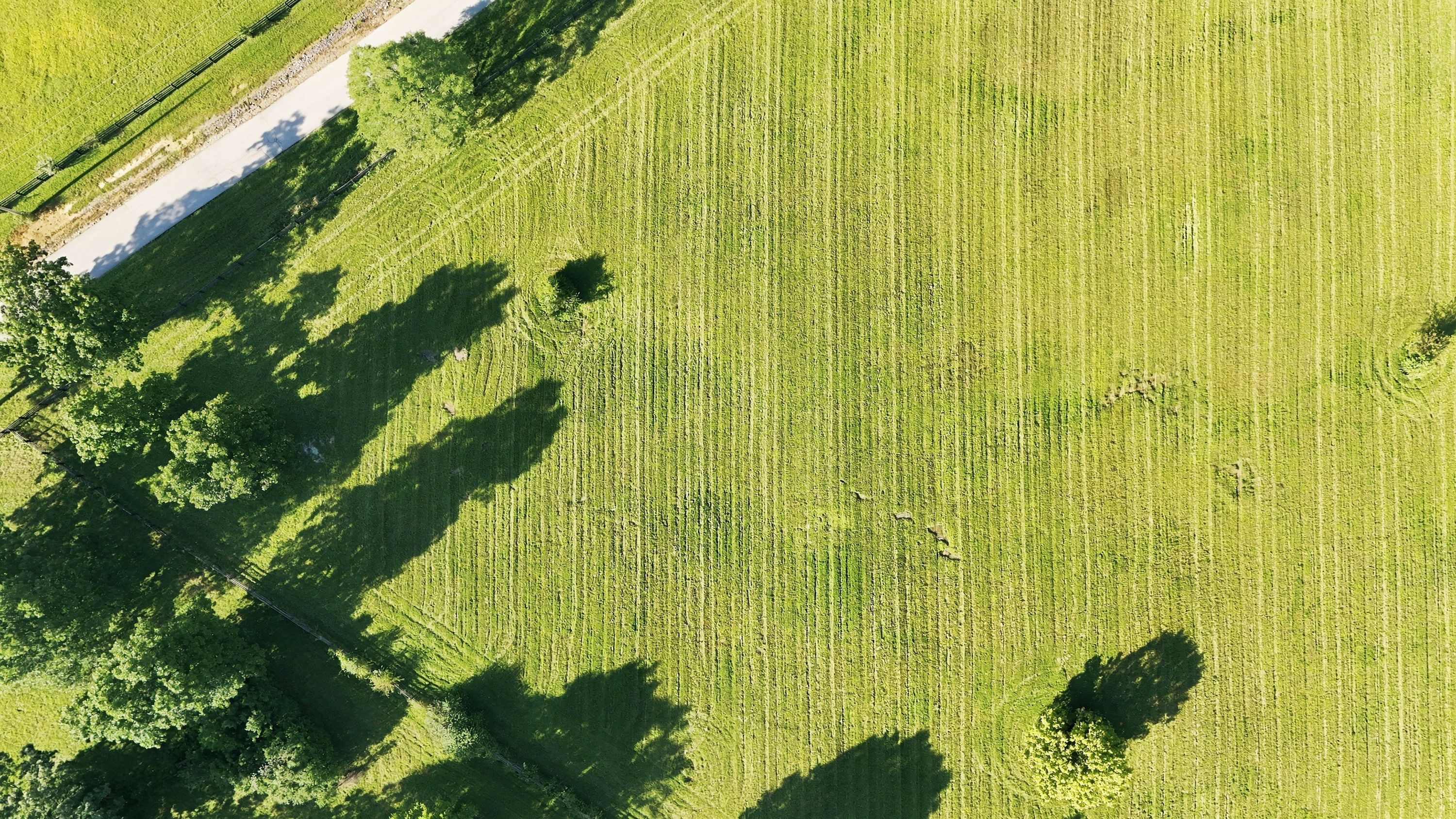  Tract 1 Ballard School Road, La Grange, KY 40031 - 物件實景