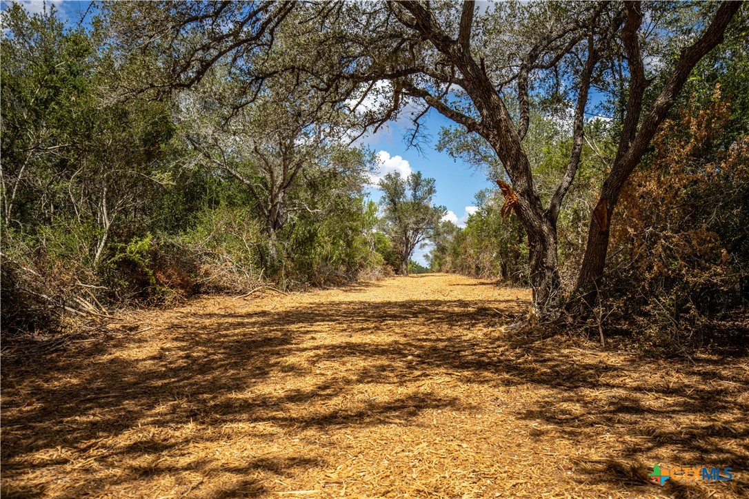 Cuero, Texas, 77954, United States, ,Residential,For Sale,1963995