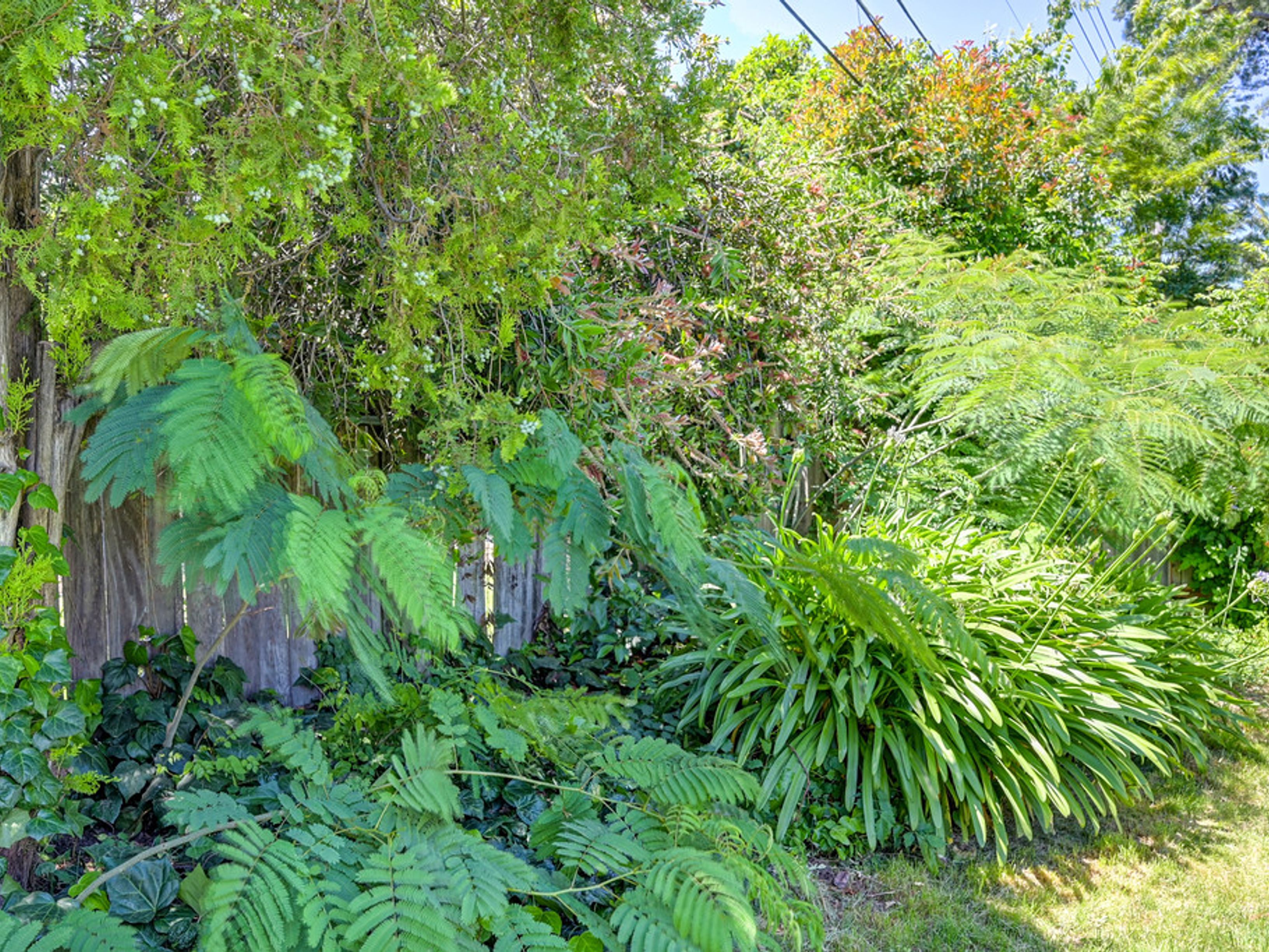  1705 Pluto Way, Sacramento, CA 95864 - 物件實景