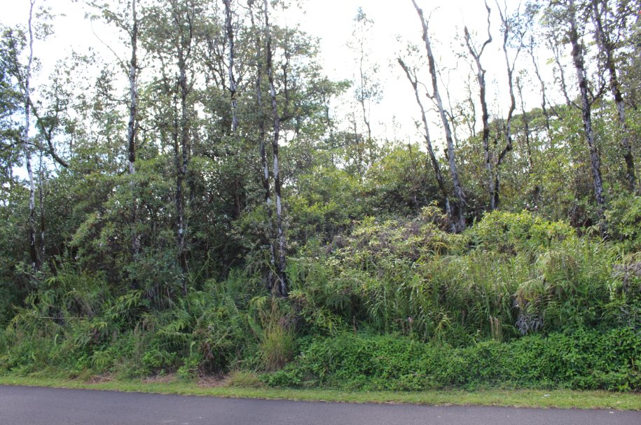 Keaau, Hawaii, 96749, United States, ,Land,For Sale,1977941