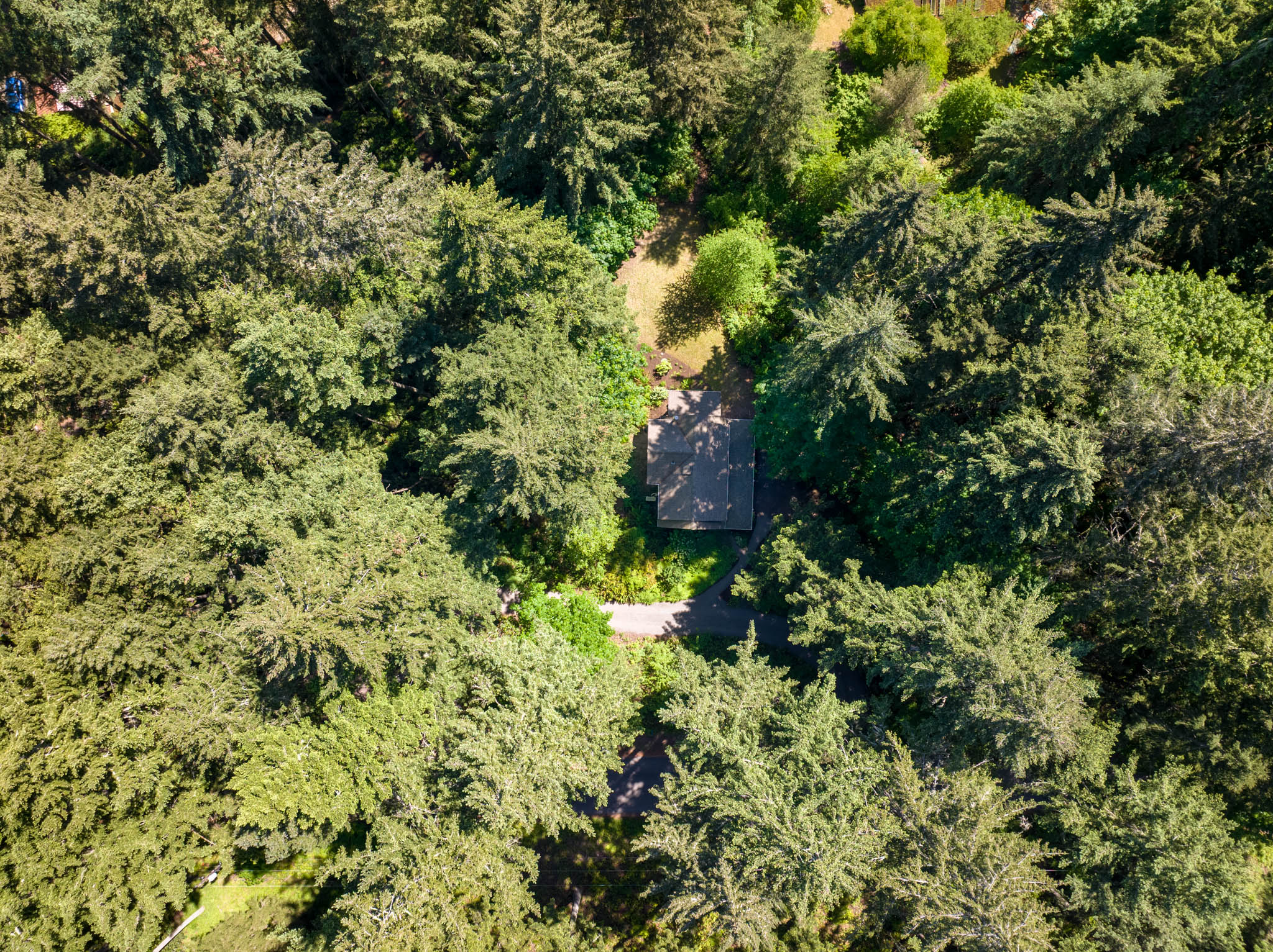  7026 Island Center RD NE, Bainbridge Island, WA 98110 - 物件實景