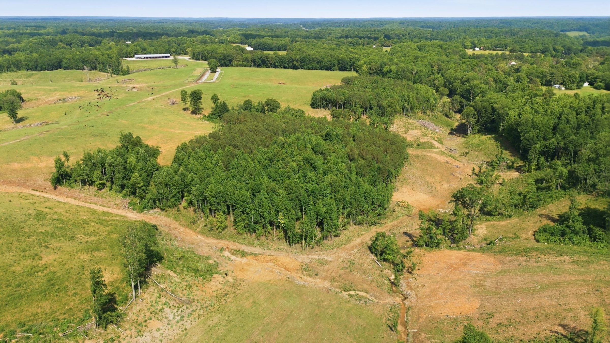  925 Sumac Rd, Pulaski, TN, 38478 - 物件實景
