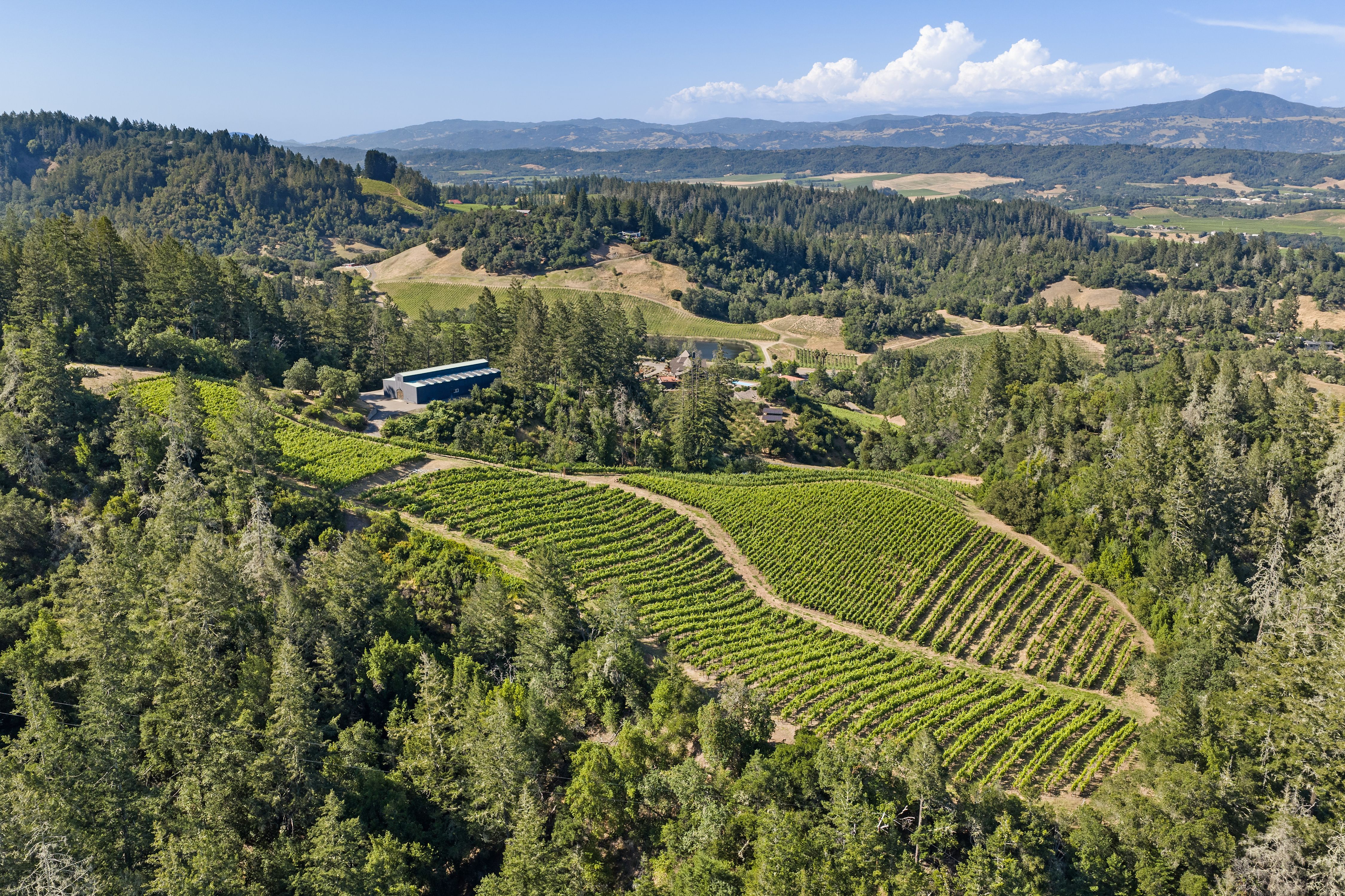  2355 West Dry Creek Road, Healdsburg, CA 95448 - 物件實景