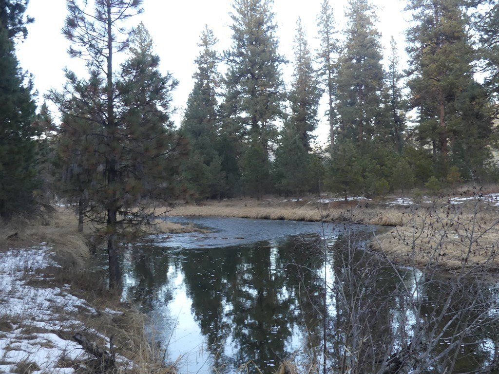 New Meadows, Idaho, 83654, United States, ,Land,For Sale,2005639