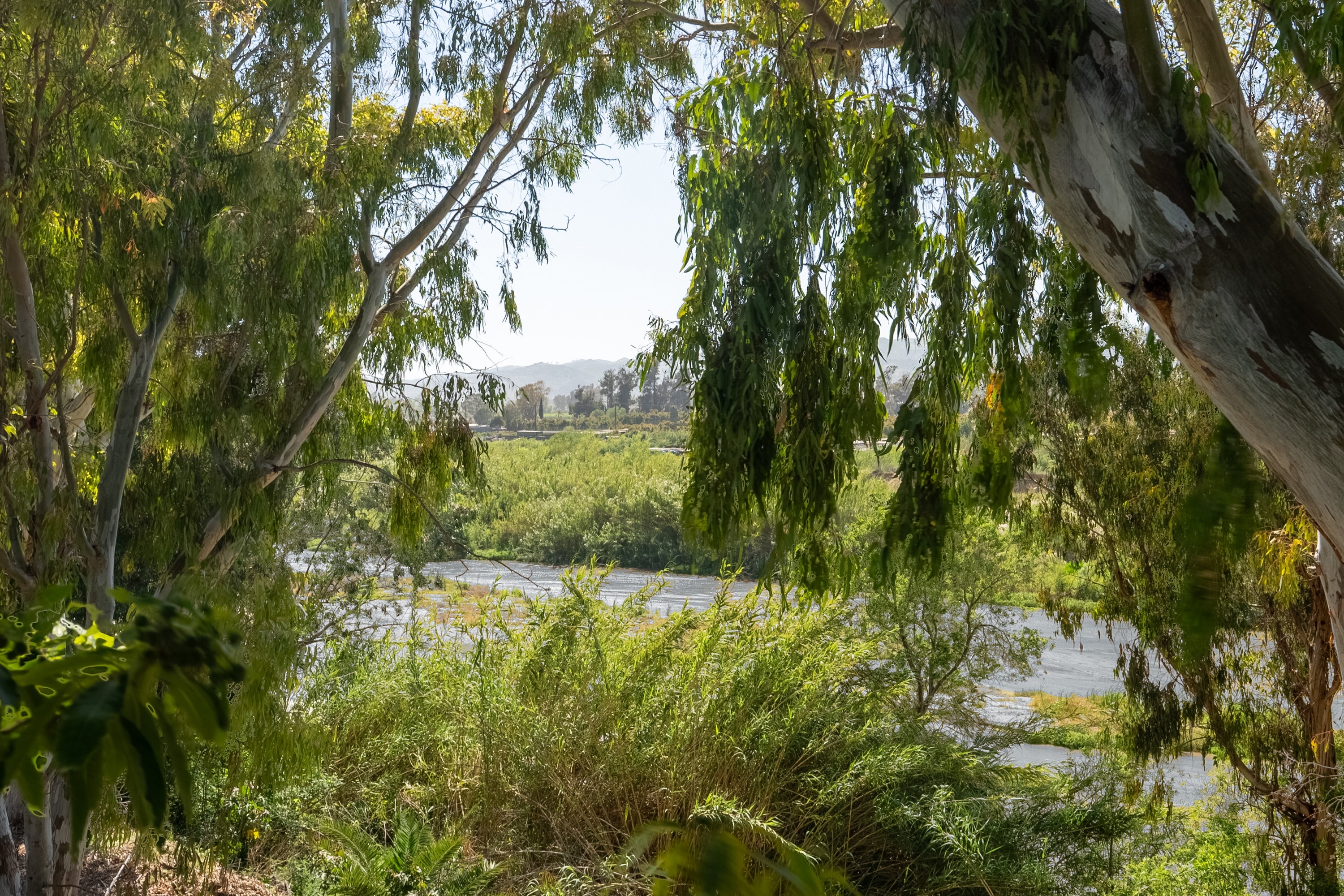  15454 S. Mountain Road - 物件實景