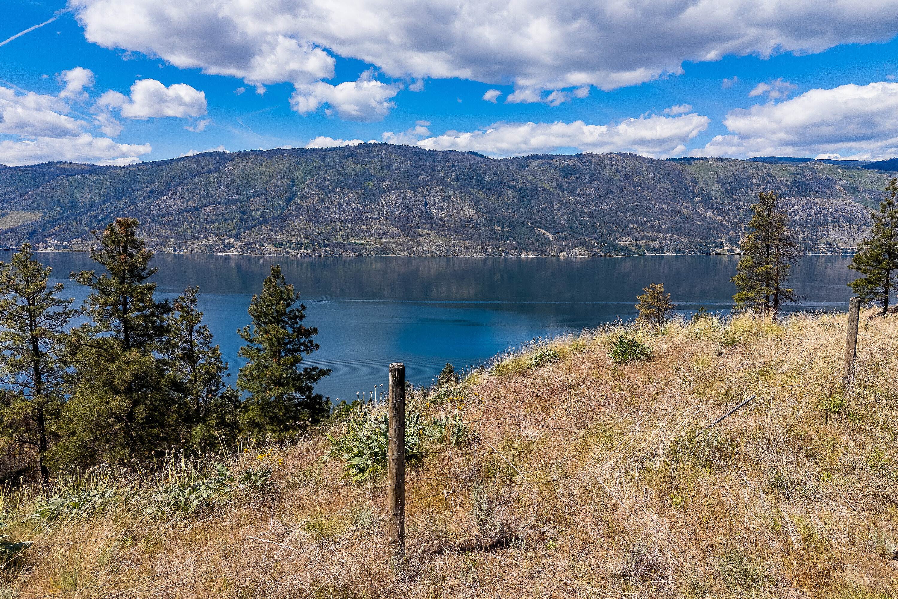  Lot 5 at Tyndall Bench - 物件實景