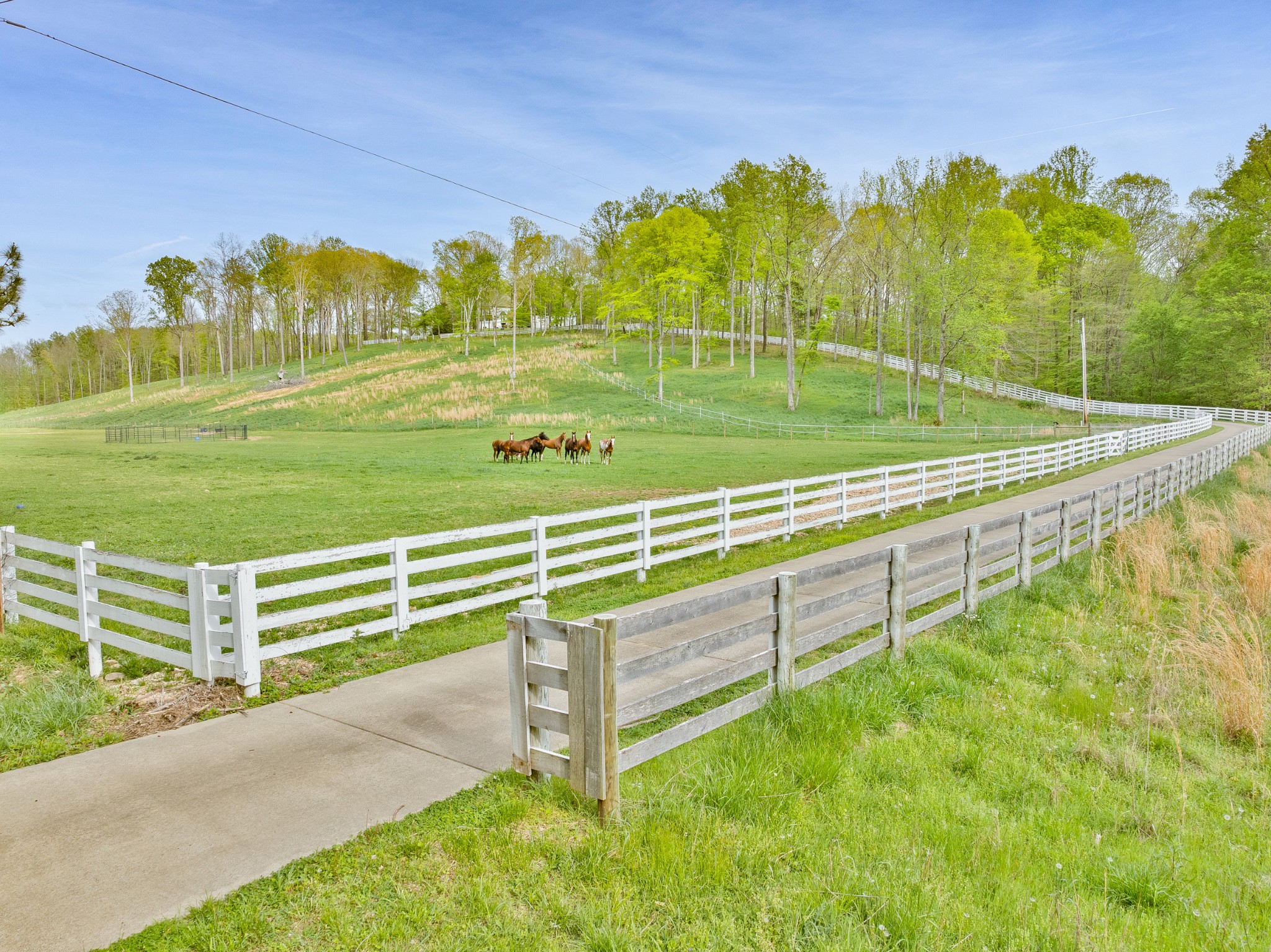 Dover, Tennessee, 37058, United States, 6 Bedrooms Bedrooms, ,4 BathroomsBathrooms,Residential,For Sale,1981726