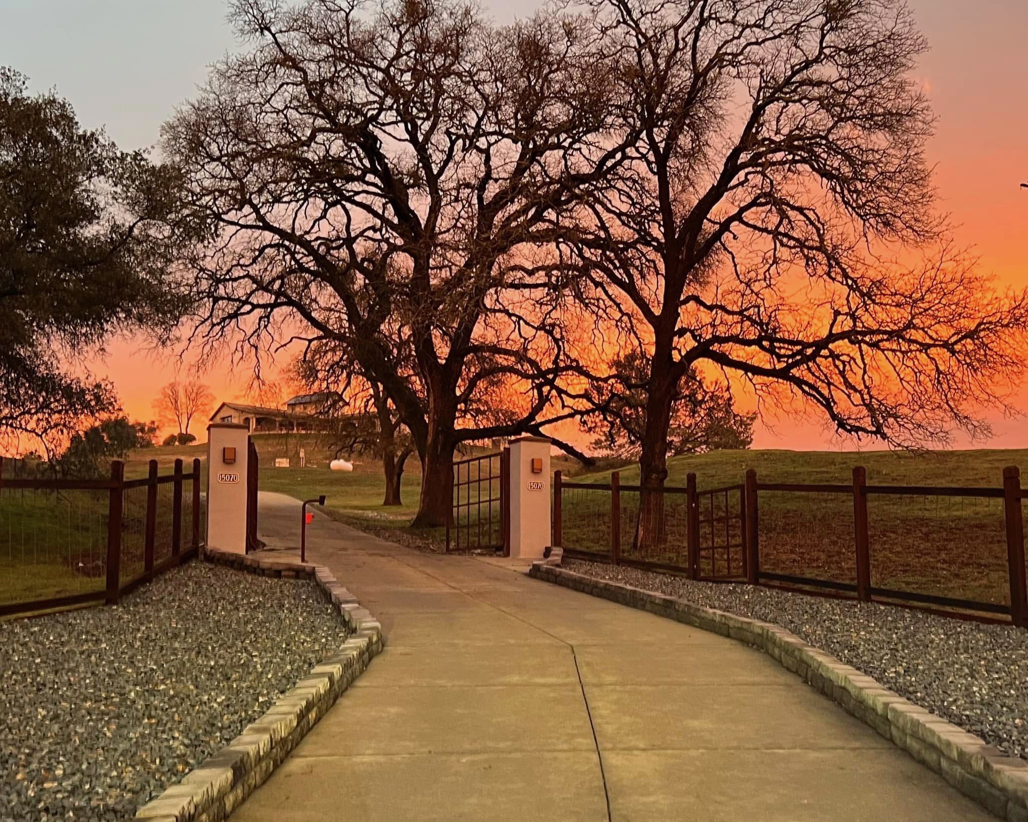  15070 Willow Creek Road, Plymouth, CA 95669 - 物件實景