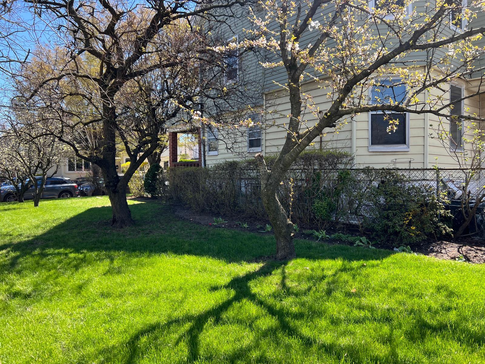 Brooklyn, New York, 11210, United States, ,Residential,For Sale,1779067