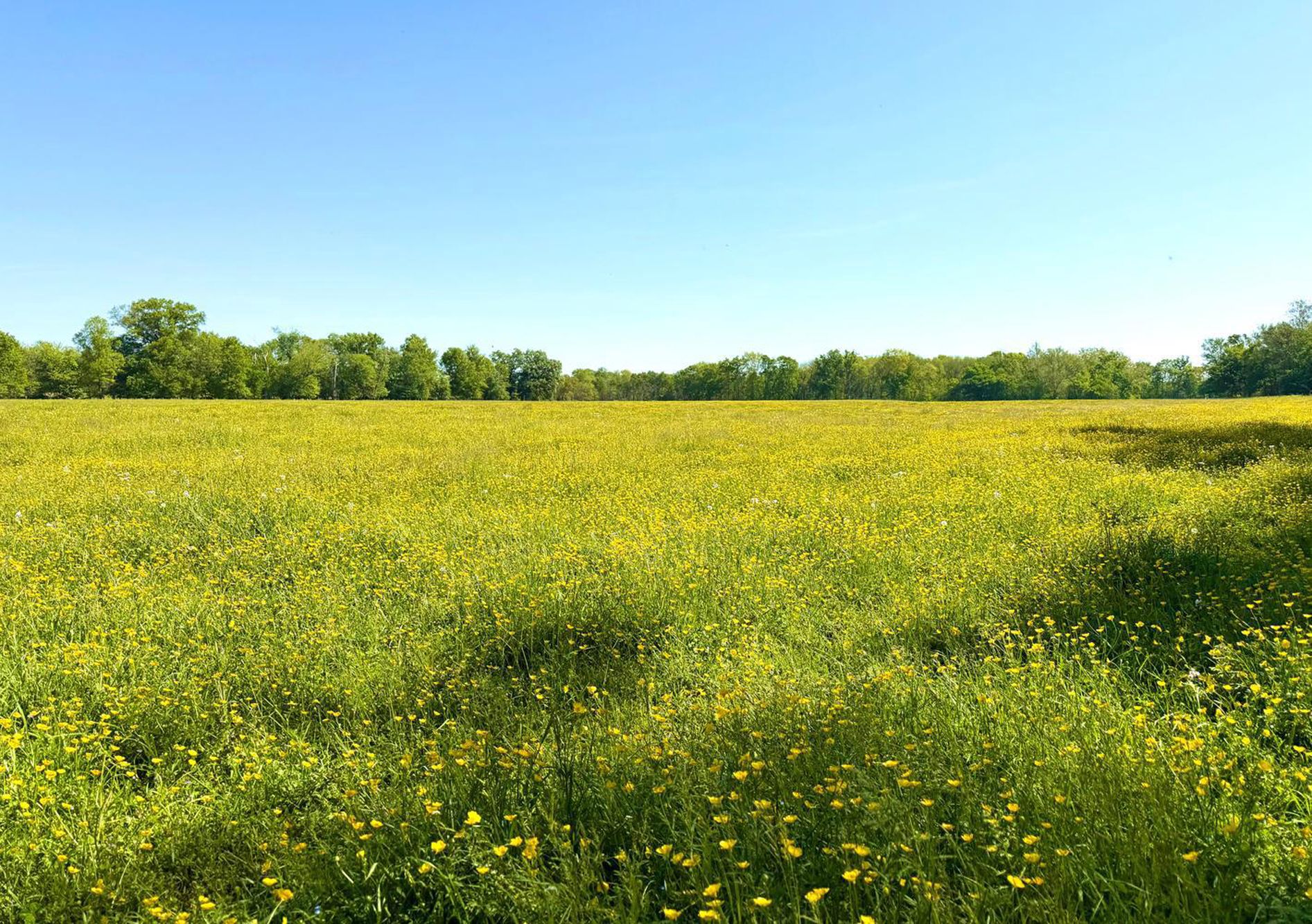  43225 Hibler Road, Leesburg, VA, 20176 - 物件實景