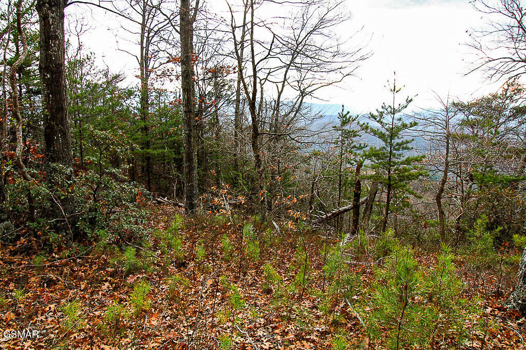 Sevierville, Tennessee, 37876, United States, ,Land,For Sale,2008093