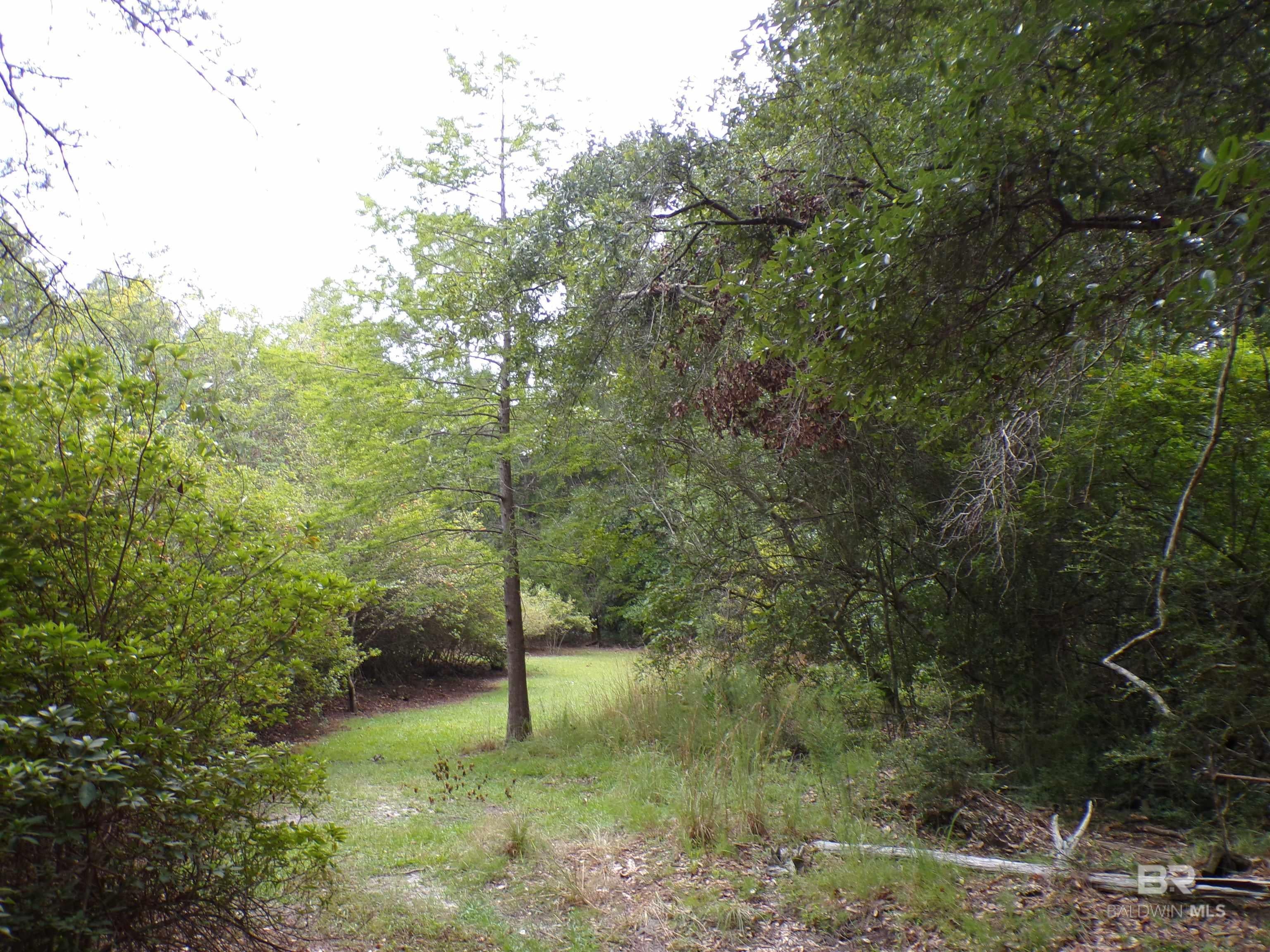 Foley, Alabama, 36535, United States, 3 Bedrooms Bedrooms, ,2 BathroomsBathrooms,Residential,For Sale,1890836