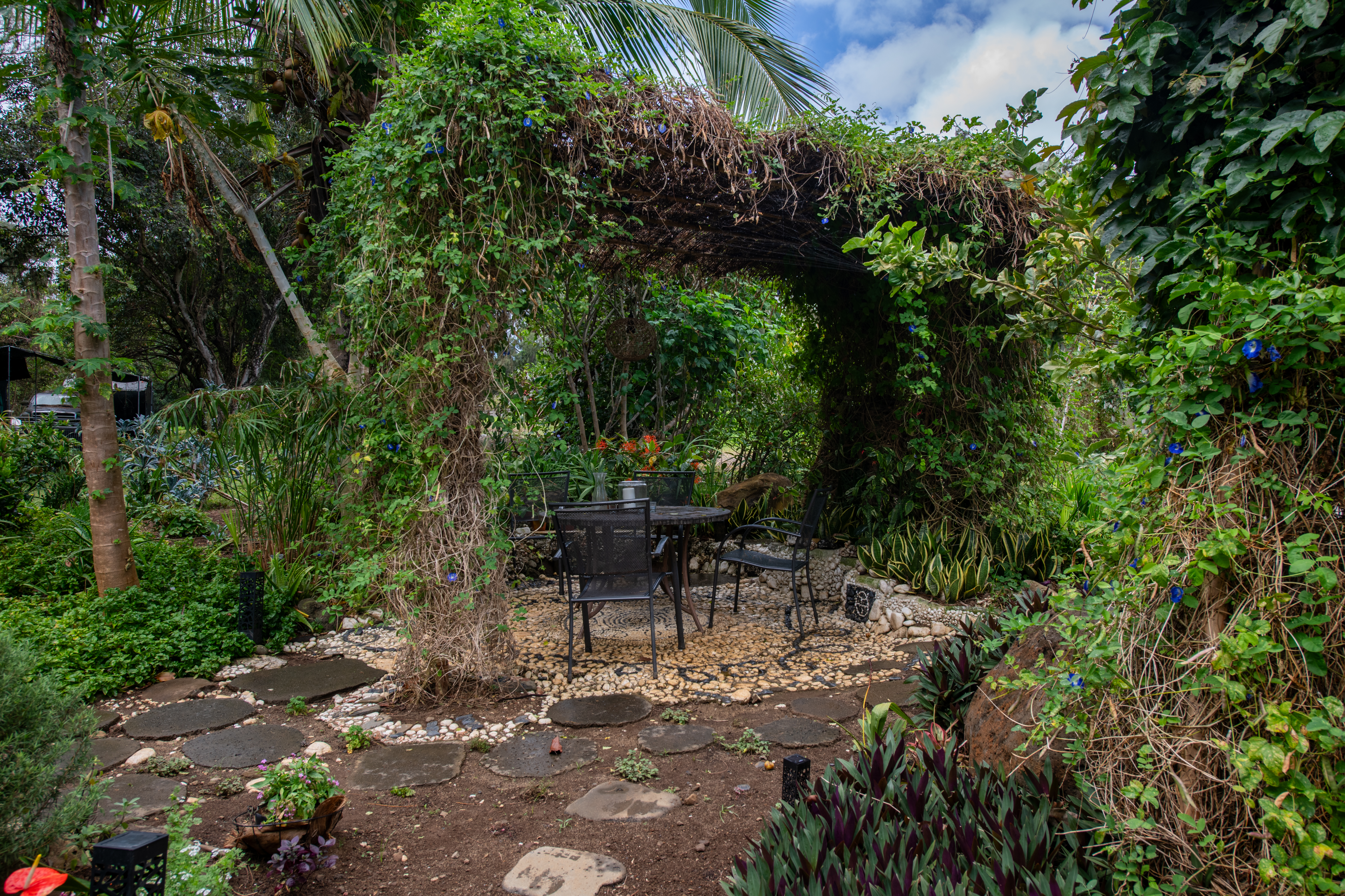  53-4223 Pratt Road, Kapaau, HI 96755 - 物件實景