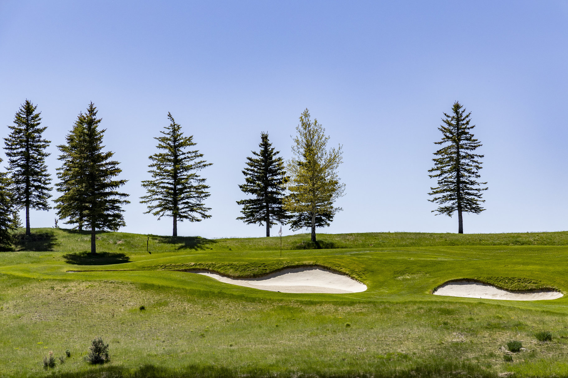  South-facing, Flat Lot on the 4th Green at Glenwild with Ski Resort Views - 物件實景