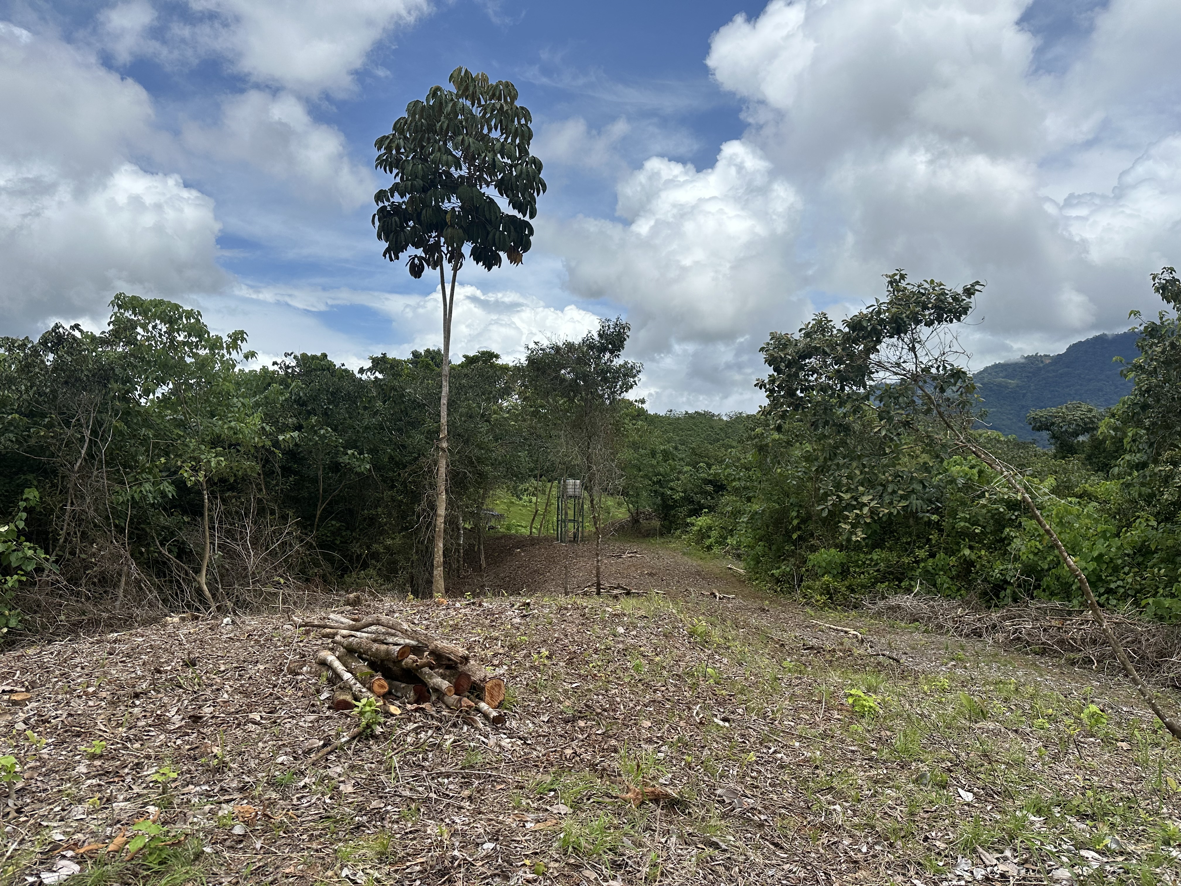 Palmar Norte, Palmar, Puntarenas, CR, ,Land,For Sale,Palmar Norte,1667866