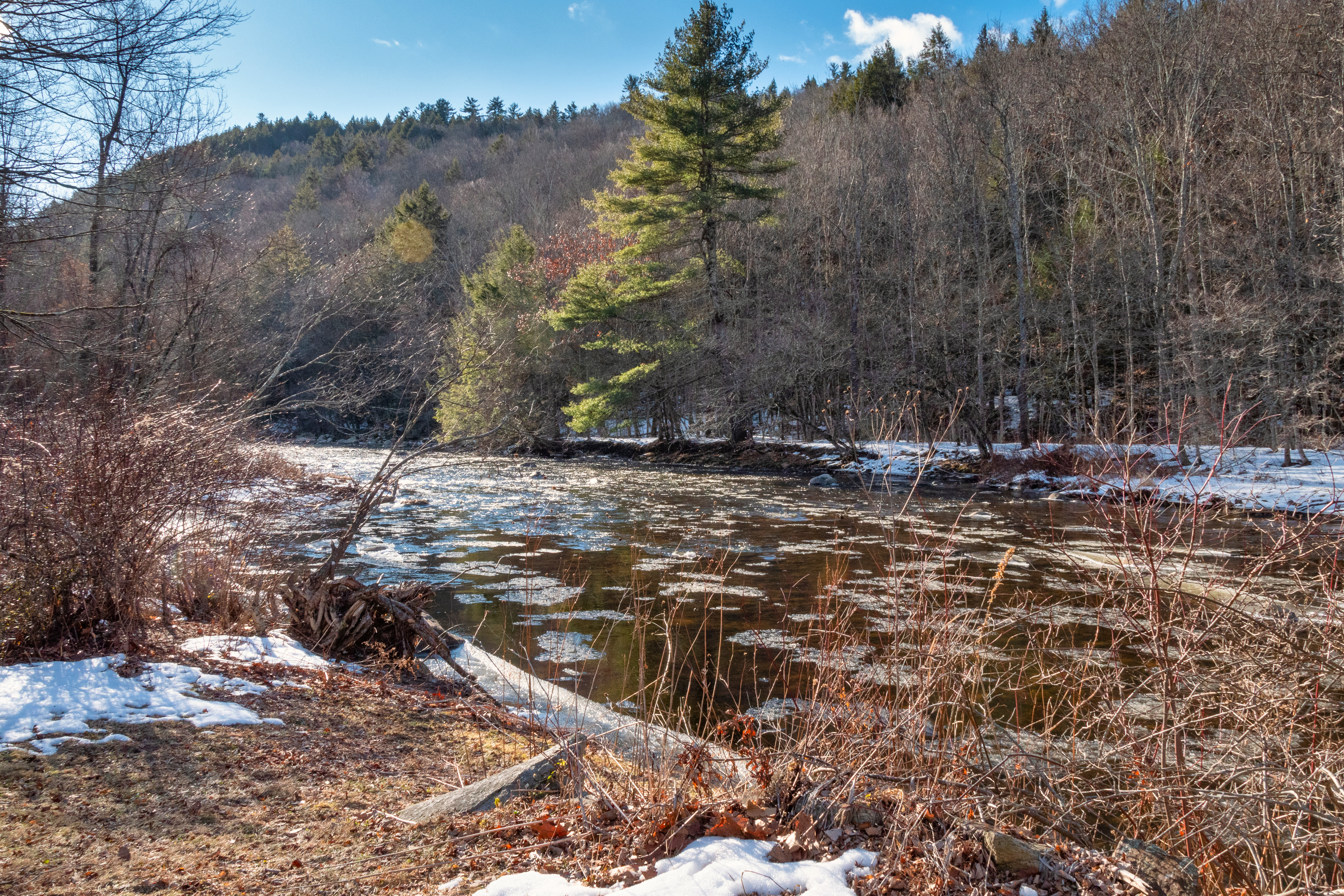  On the Wild and Scenic Farmington River, at the End of a Quiet Road, a House Ful - 物件實景