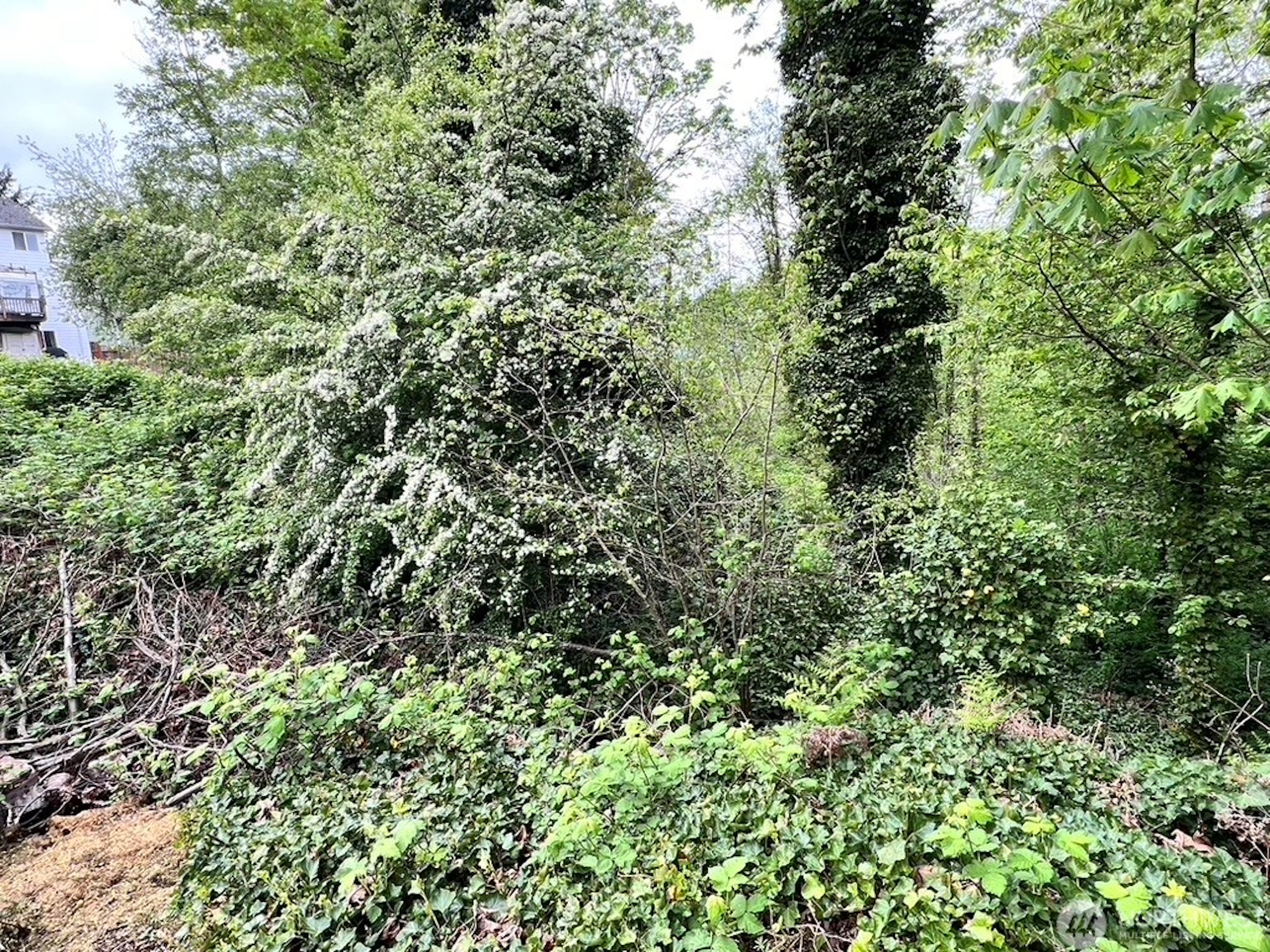  Unique Opportunity in Tukwila - 物件實景