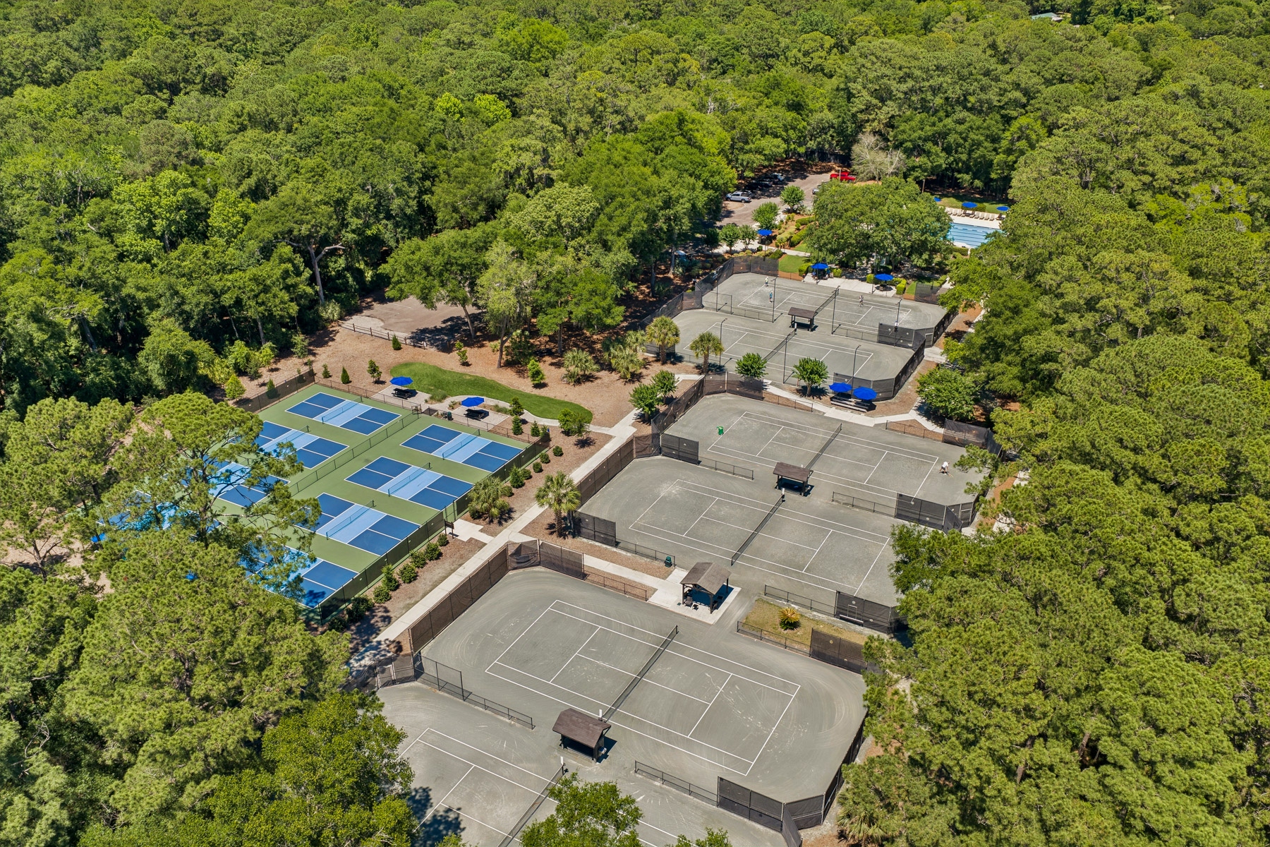  17 Balsams Court, Hilton Head Island - 物件實景
