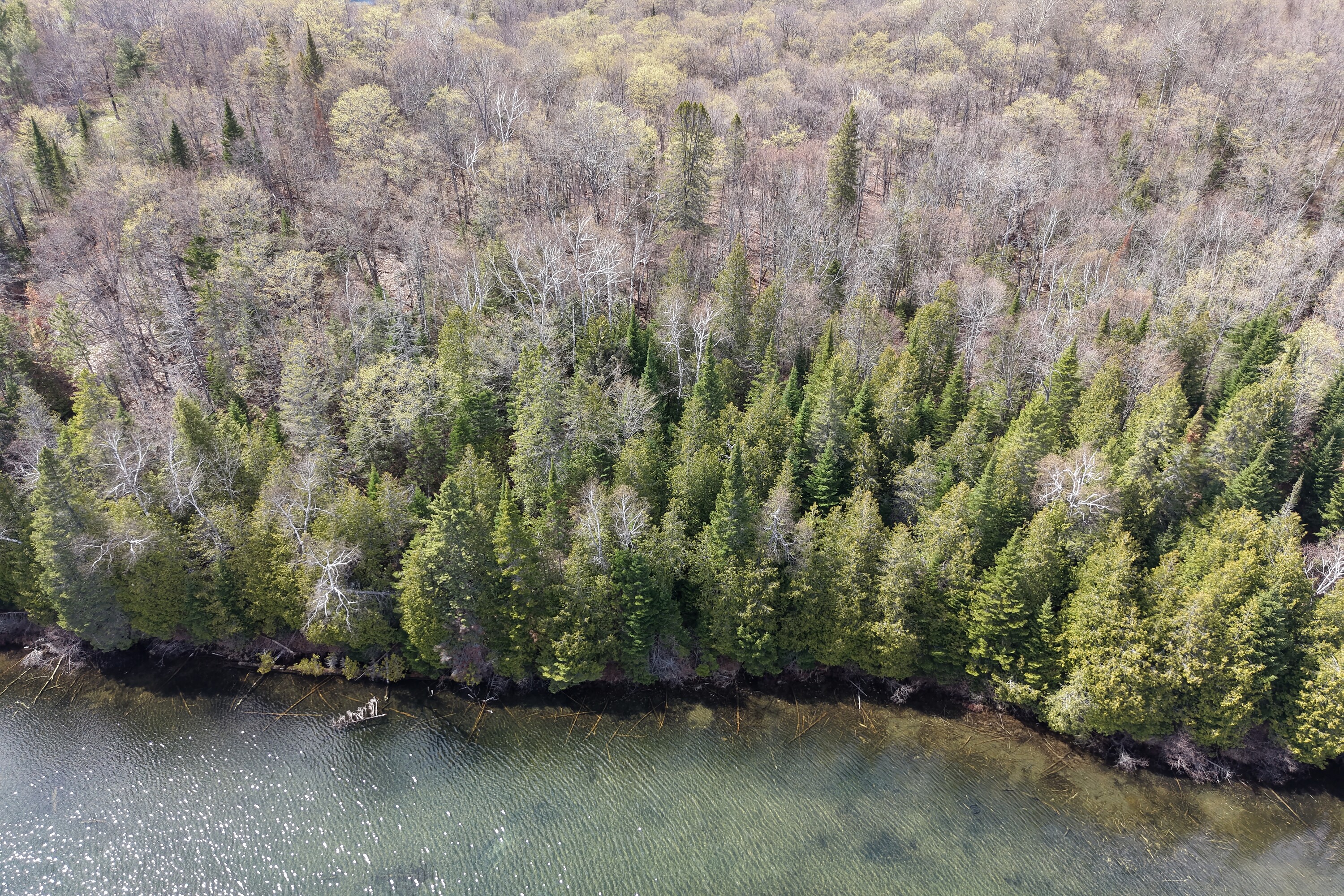  Charlotte Lake Waterfront - 物件實景