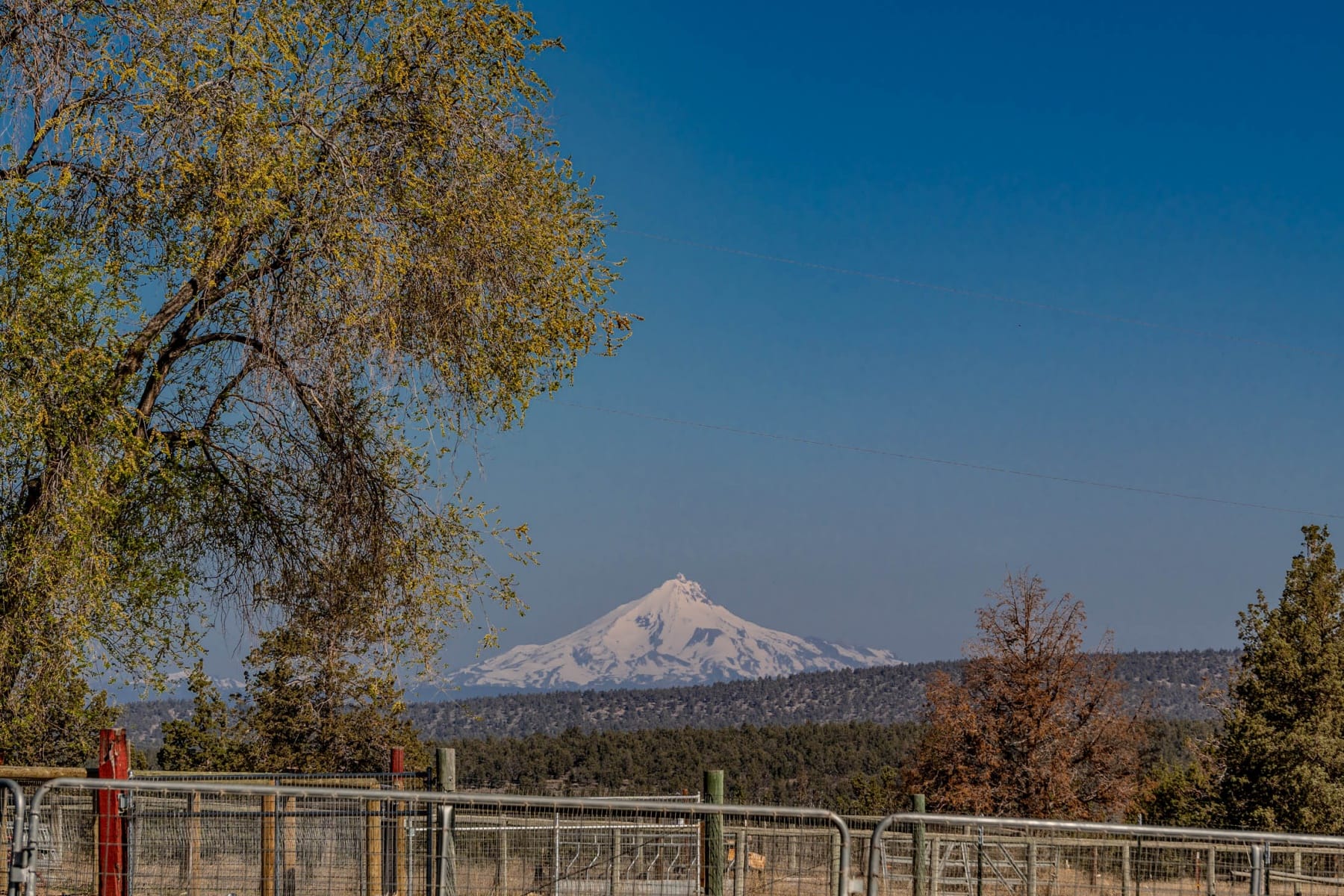  20900 SW Young Avenue Bend, OR 97703 - 物件實景