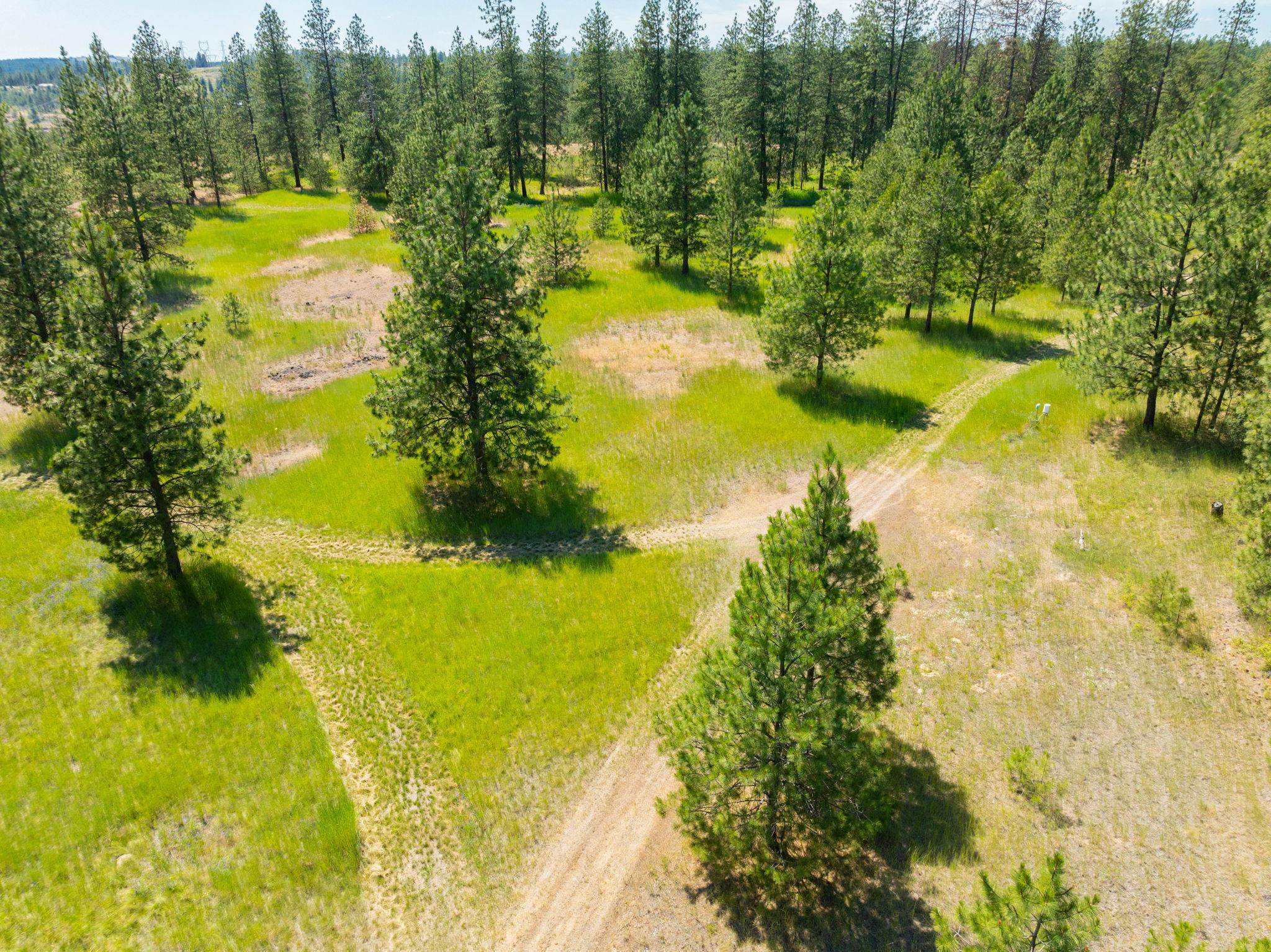 Nine Mile Falls, Washington, 99026, United States, ,Land,For Sale,1960887