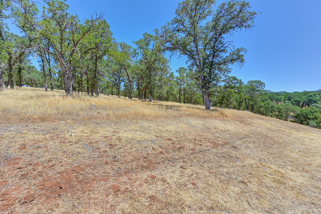 El Dorado Hills, California, 95762, United States, ,Land,For Sale,1874458